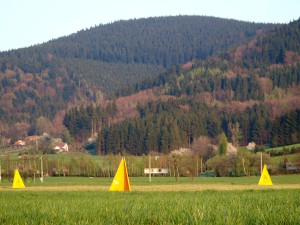 p4228454.jpg