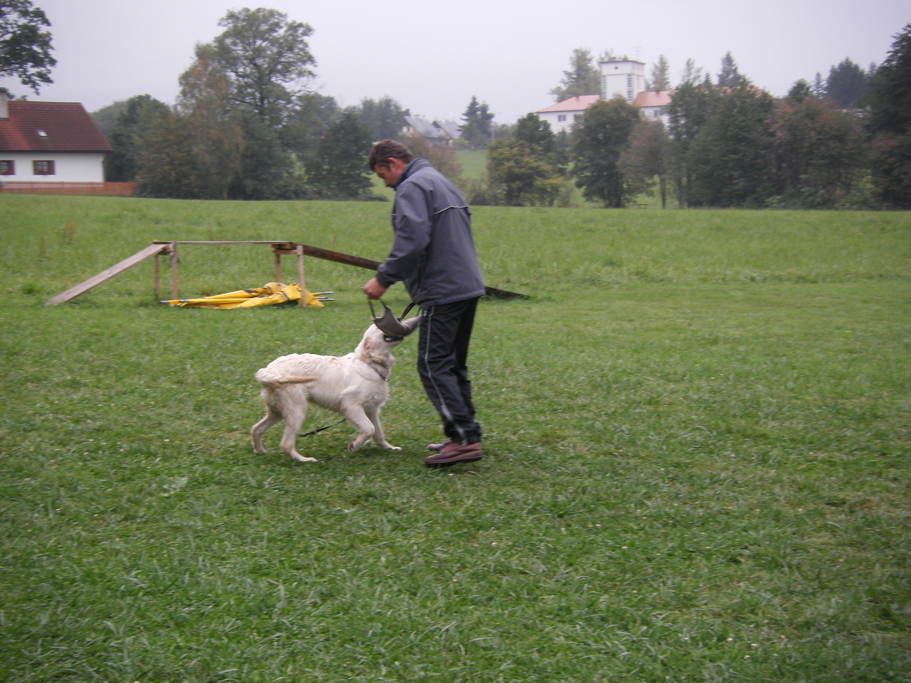 TREK FOTKY PŘEDÁNÍ 025