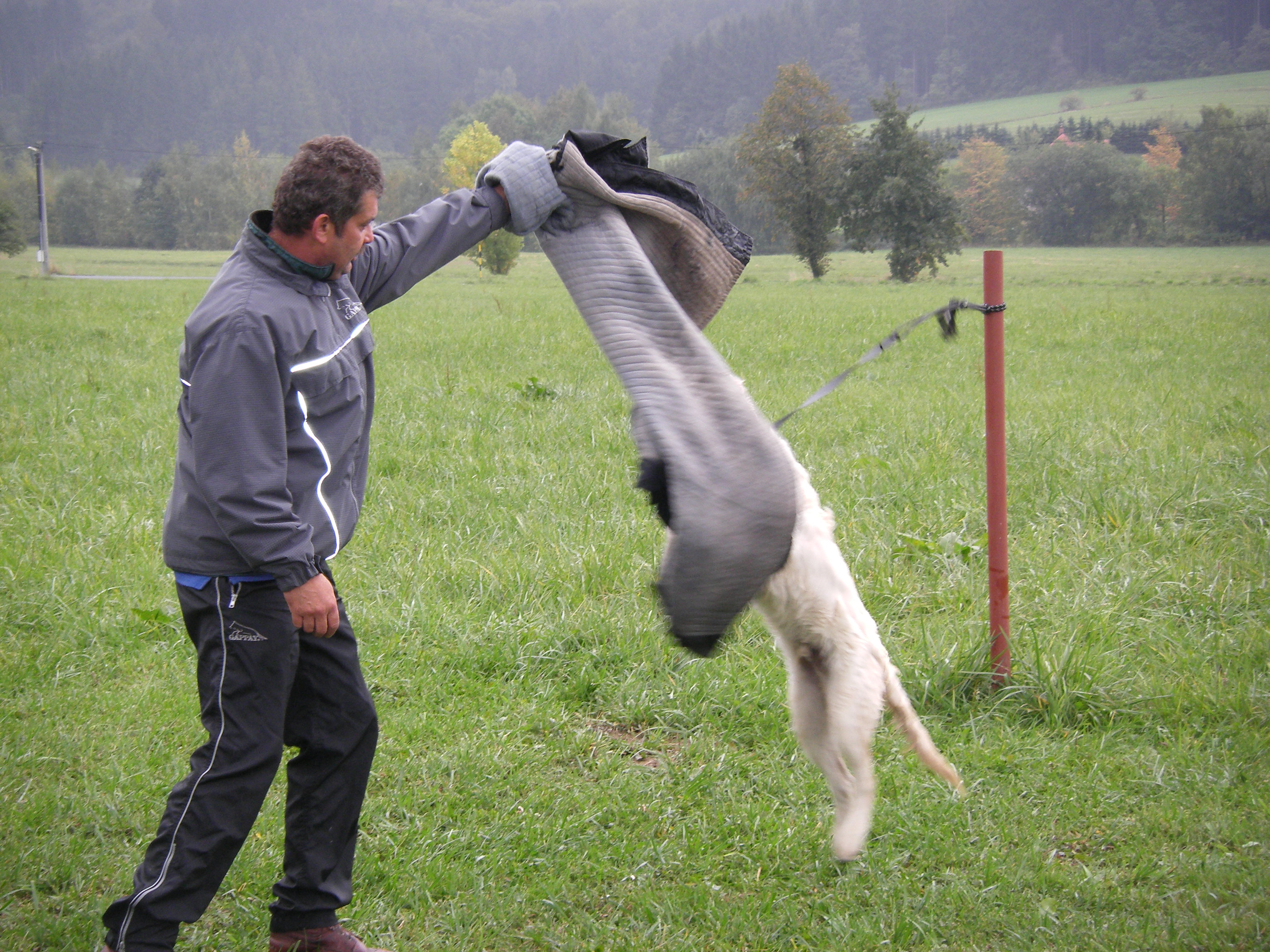 TREK FOTKY PŘEDÁNÍ 043