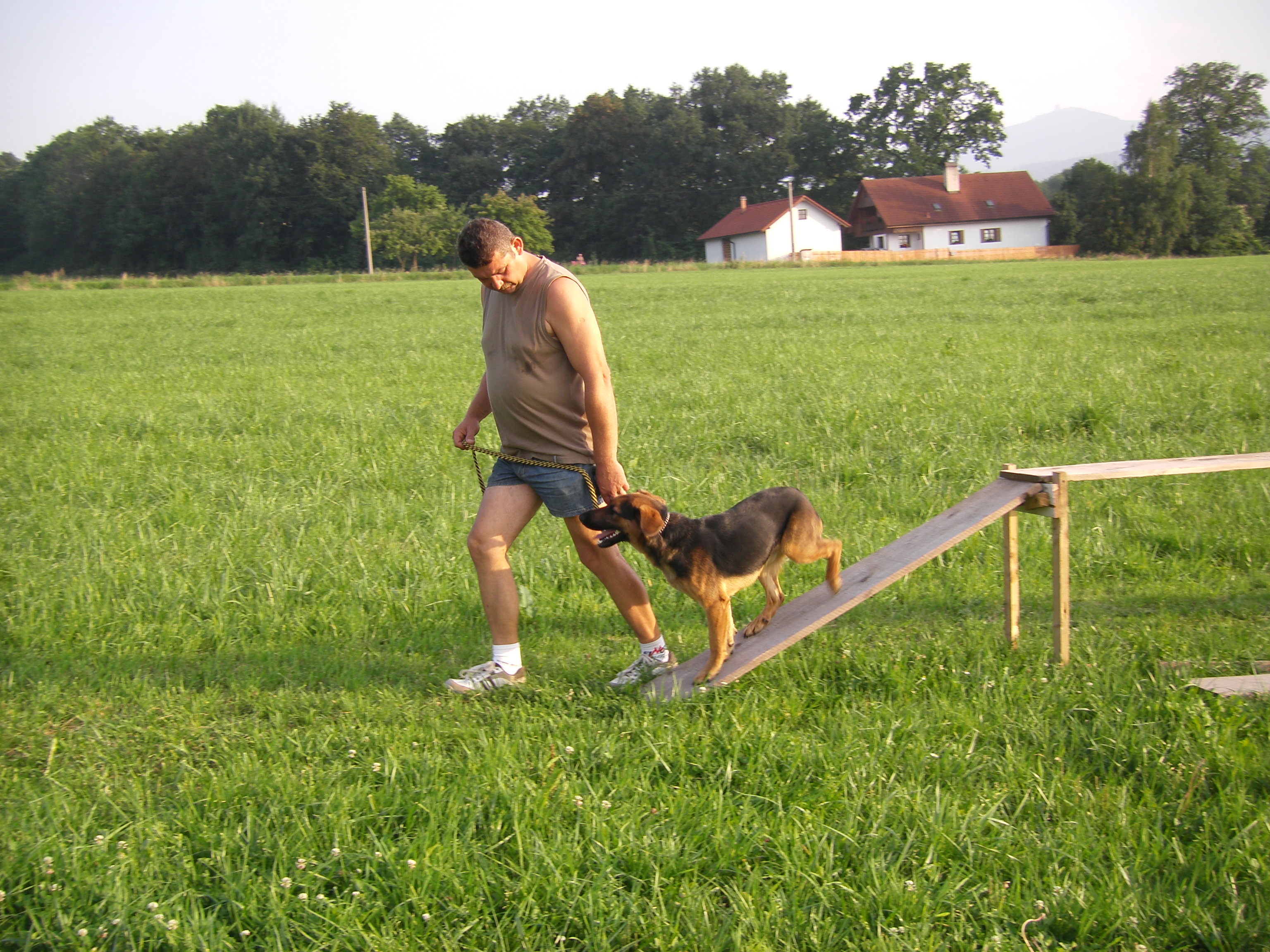 MERLIN POSLEDNÍ VÝCVIK 008