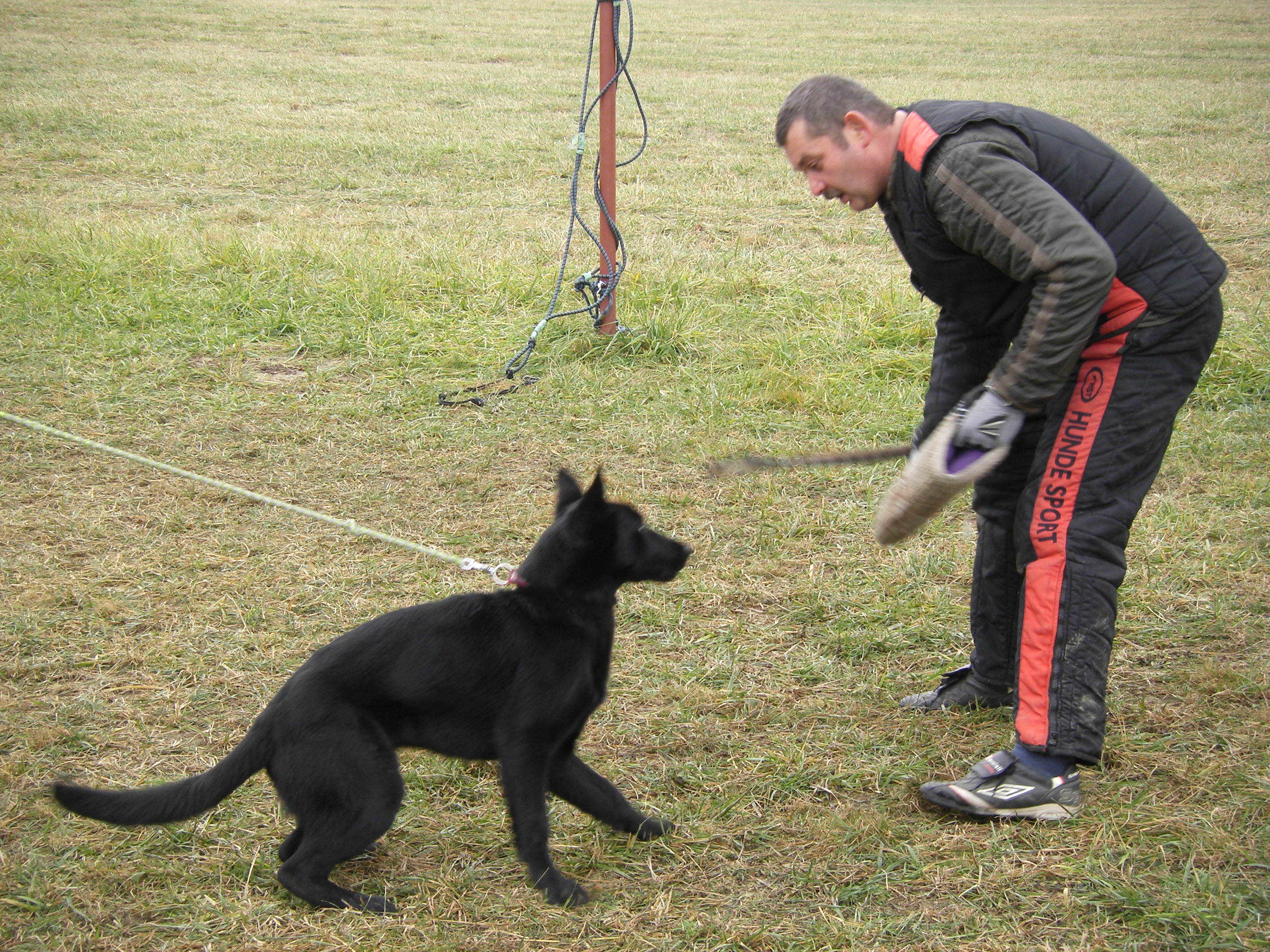 SOBOTA 3.12.2011 OBRANA 003