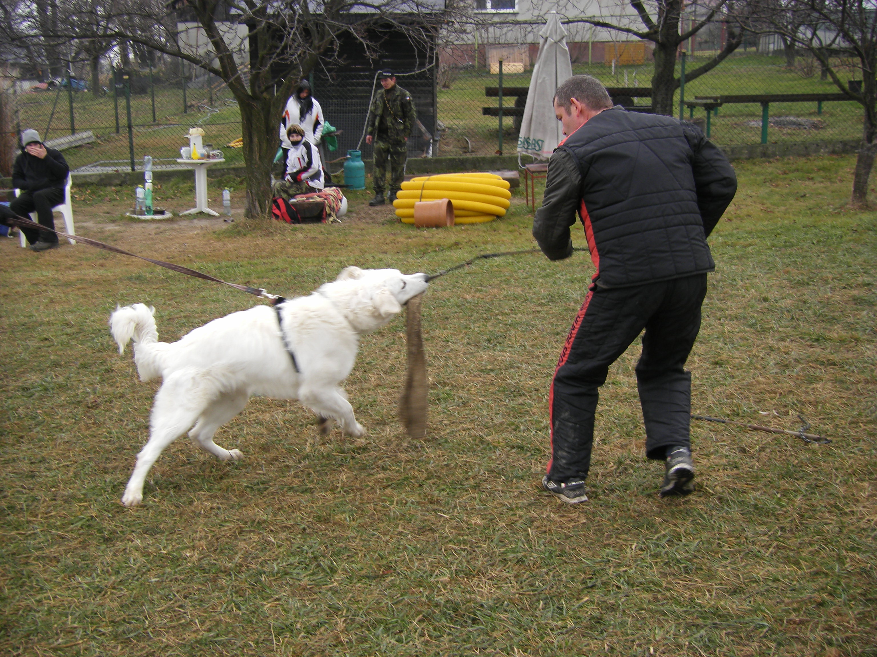 SOBOTA 3.12.2011 OBRANA 010