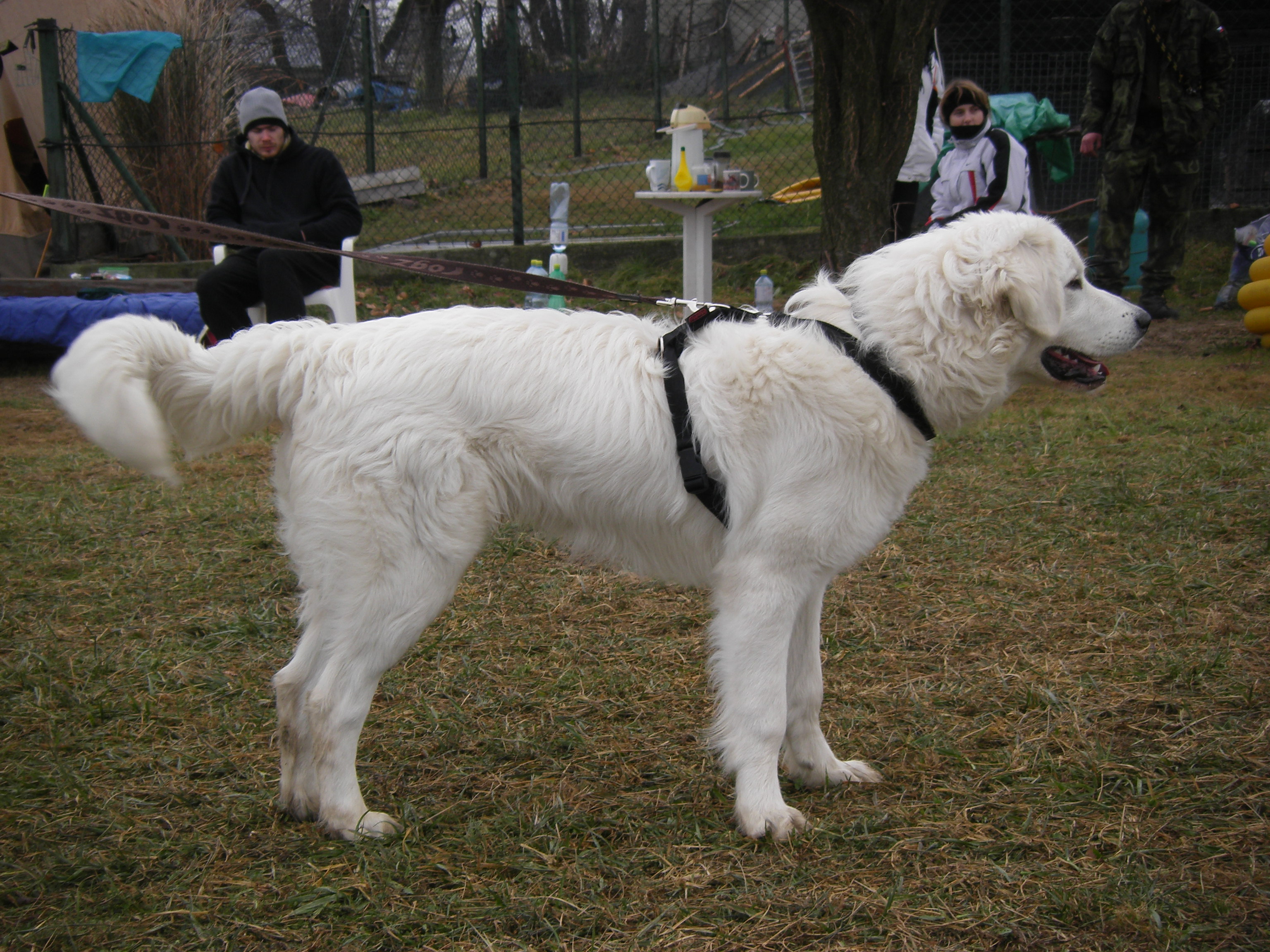 SOBOTA 3.12.2011 OBRANA 017