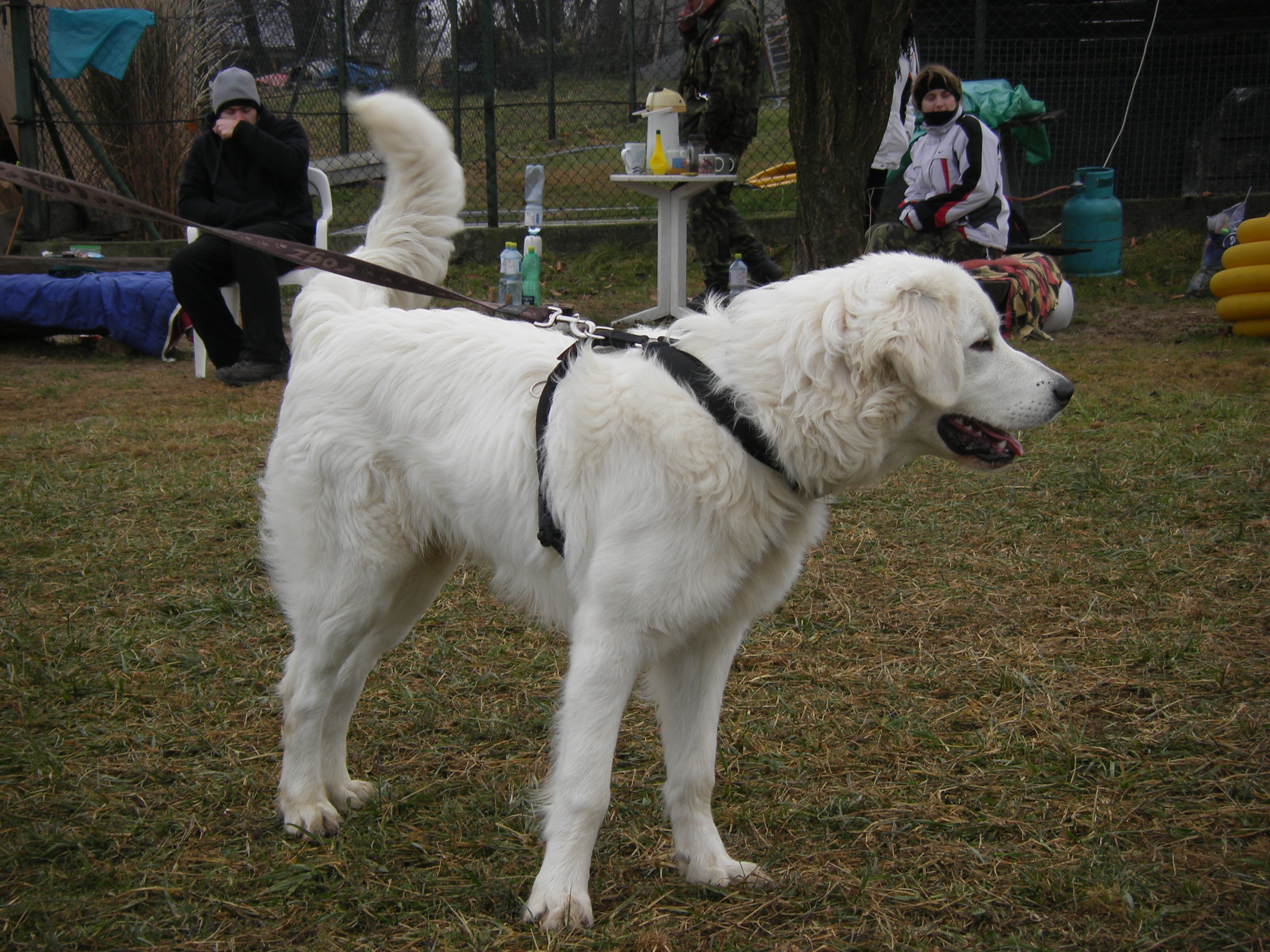 SOBOTA 3.12.2011 OBRANA 019