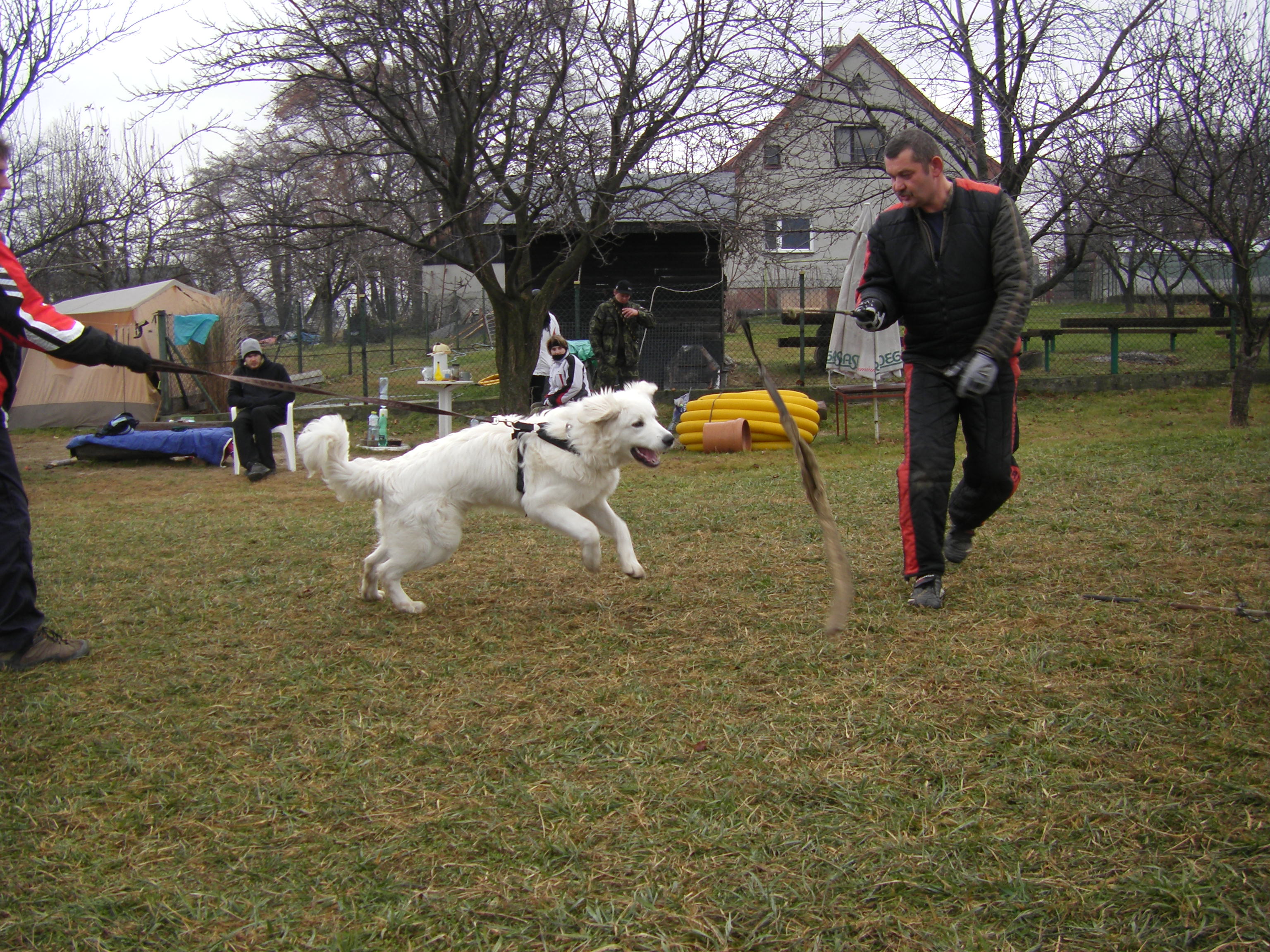 SOBOTA 3.12.2011 OBRANA 028