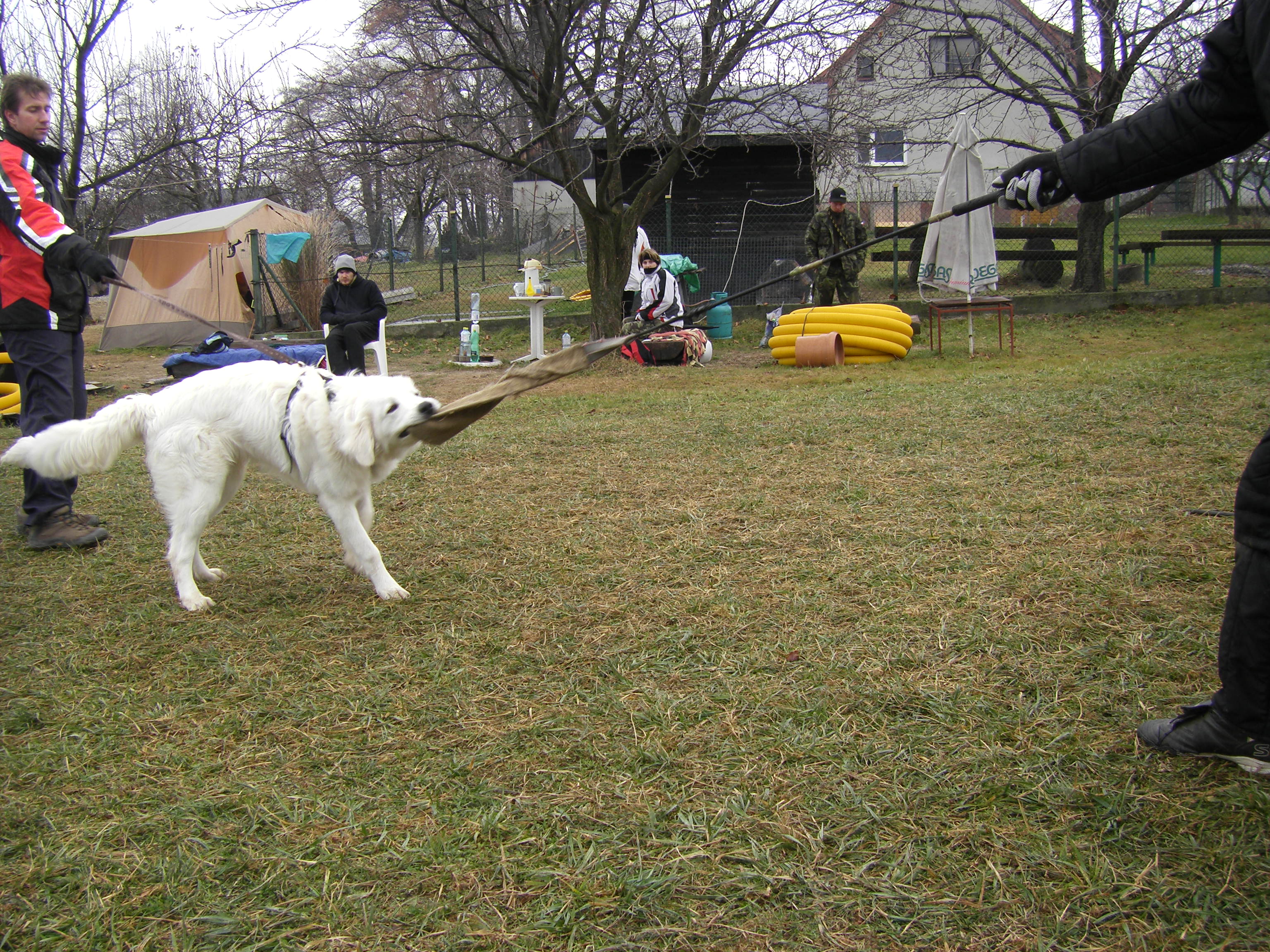 SOBOTA 3.12.2011 OBRANA 030