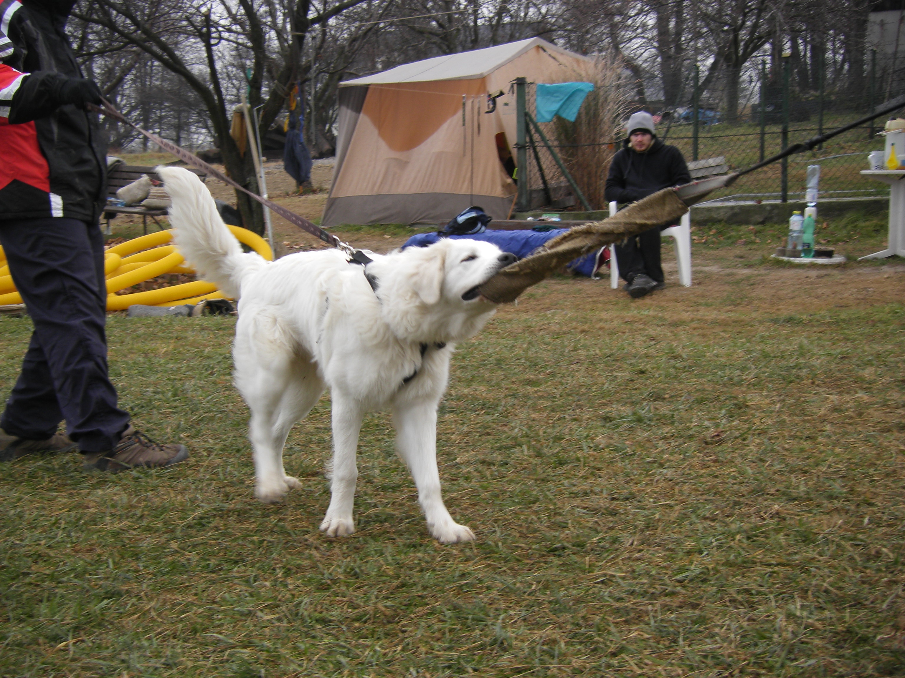 SOBOTA 3.12.2011 OBRANA 034