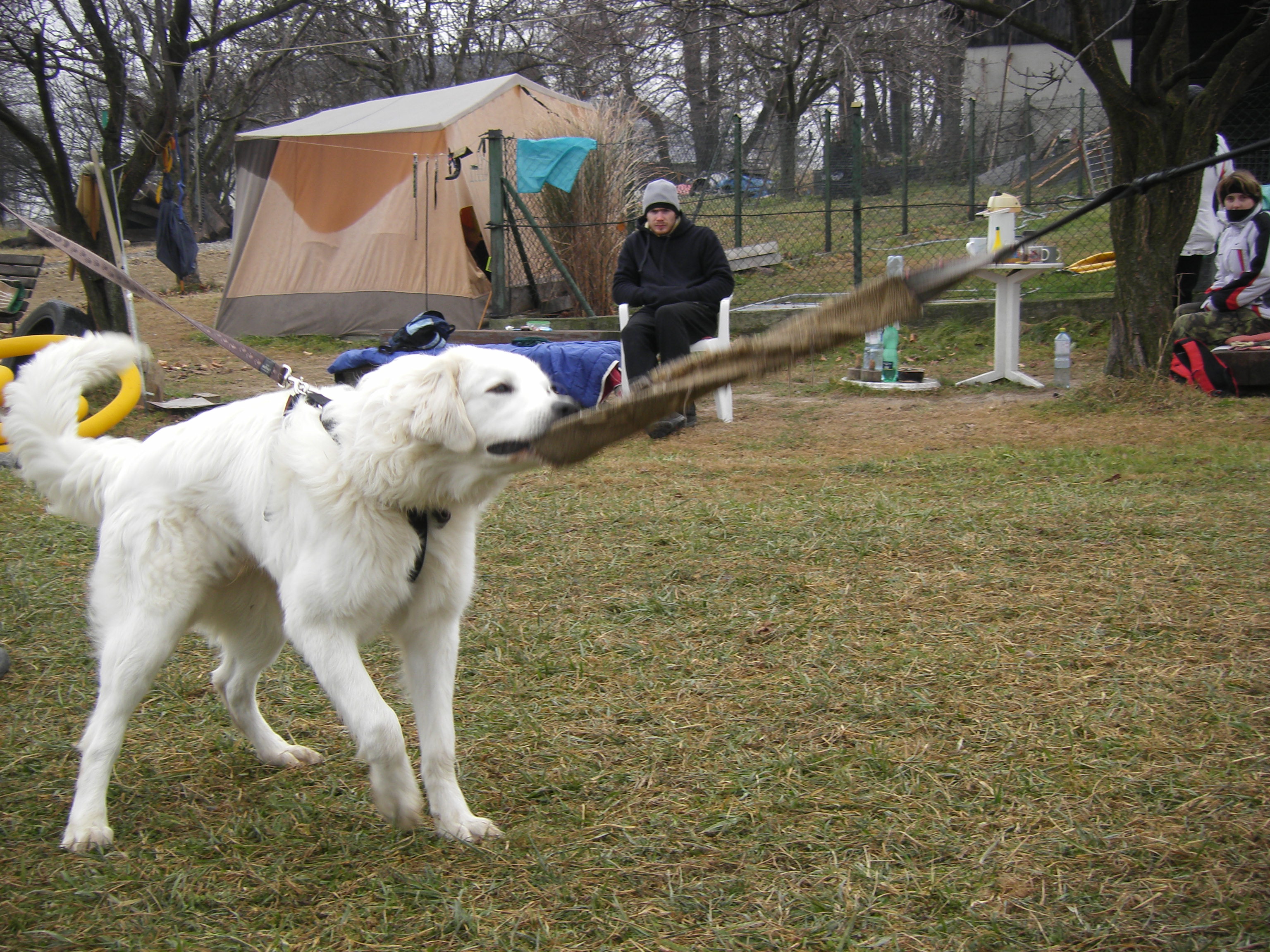 SOBOTA 3.12.2011 OBRANA 035