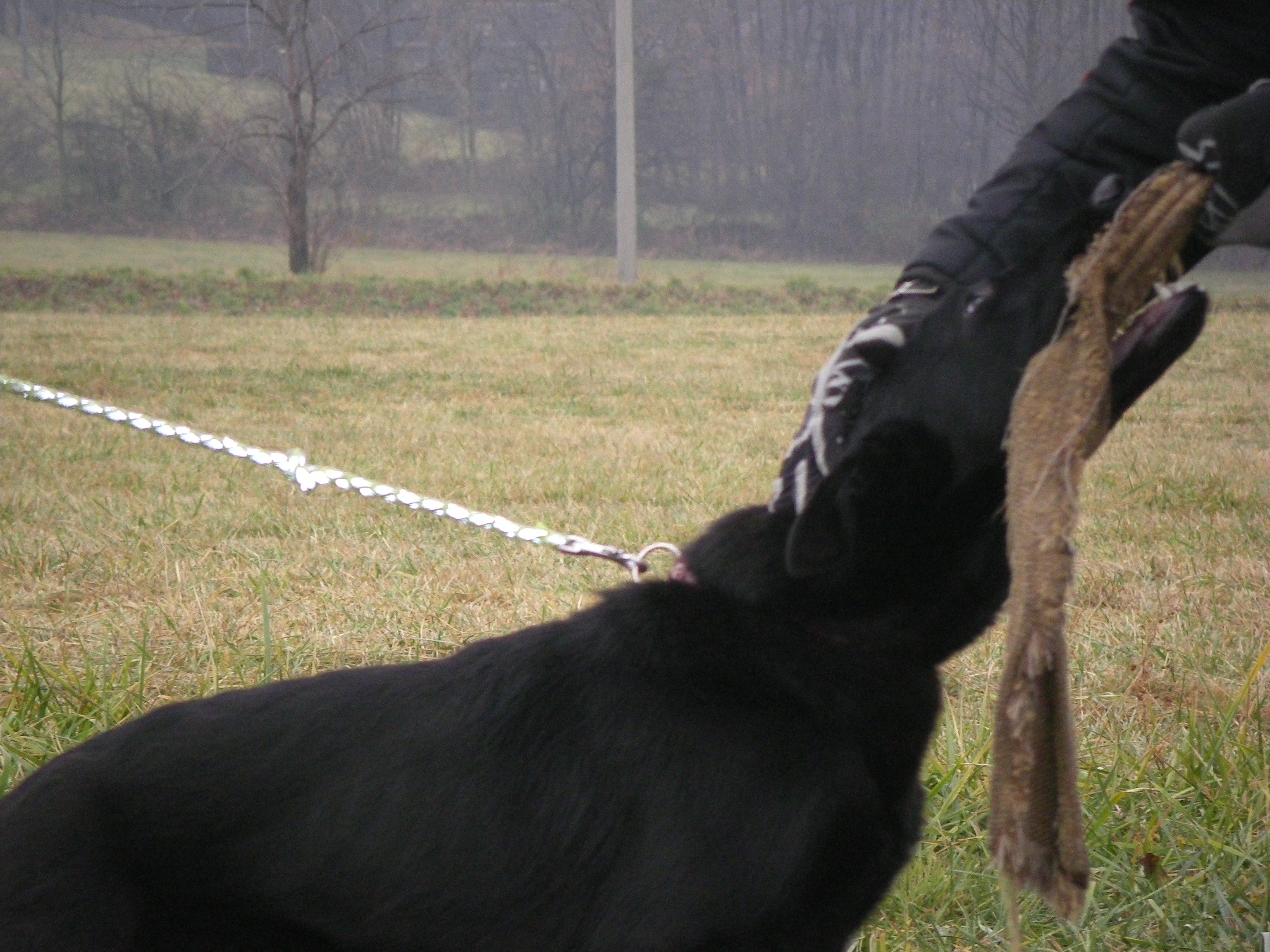 SOBOTA 3.12.2011 OBRANA 040