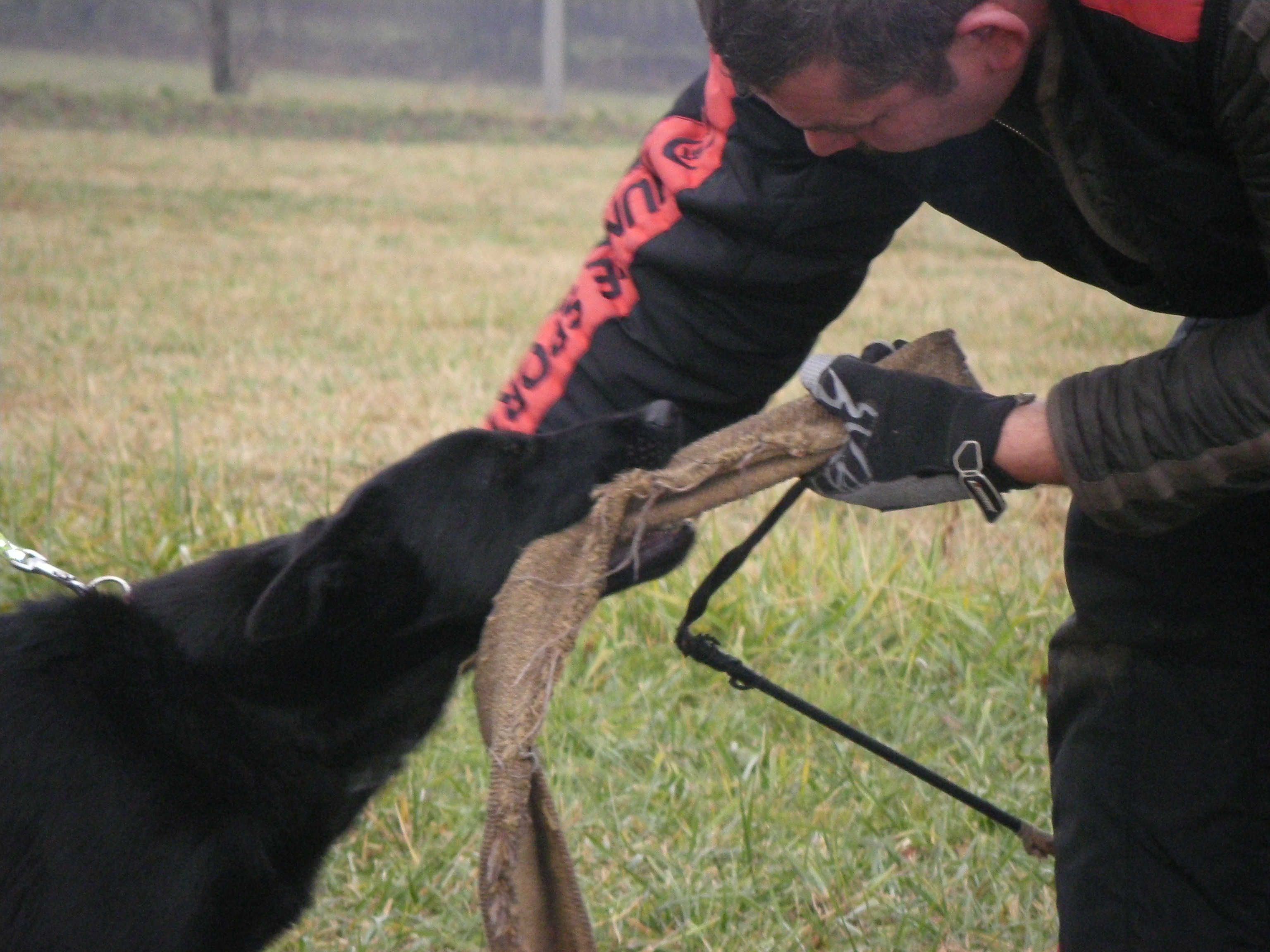 SOBOTA 3.12.2011 OBRANA 041