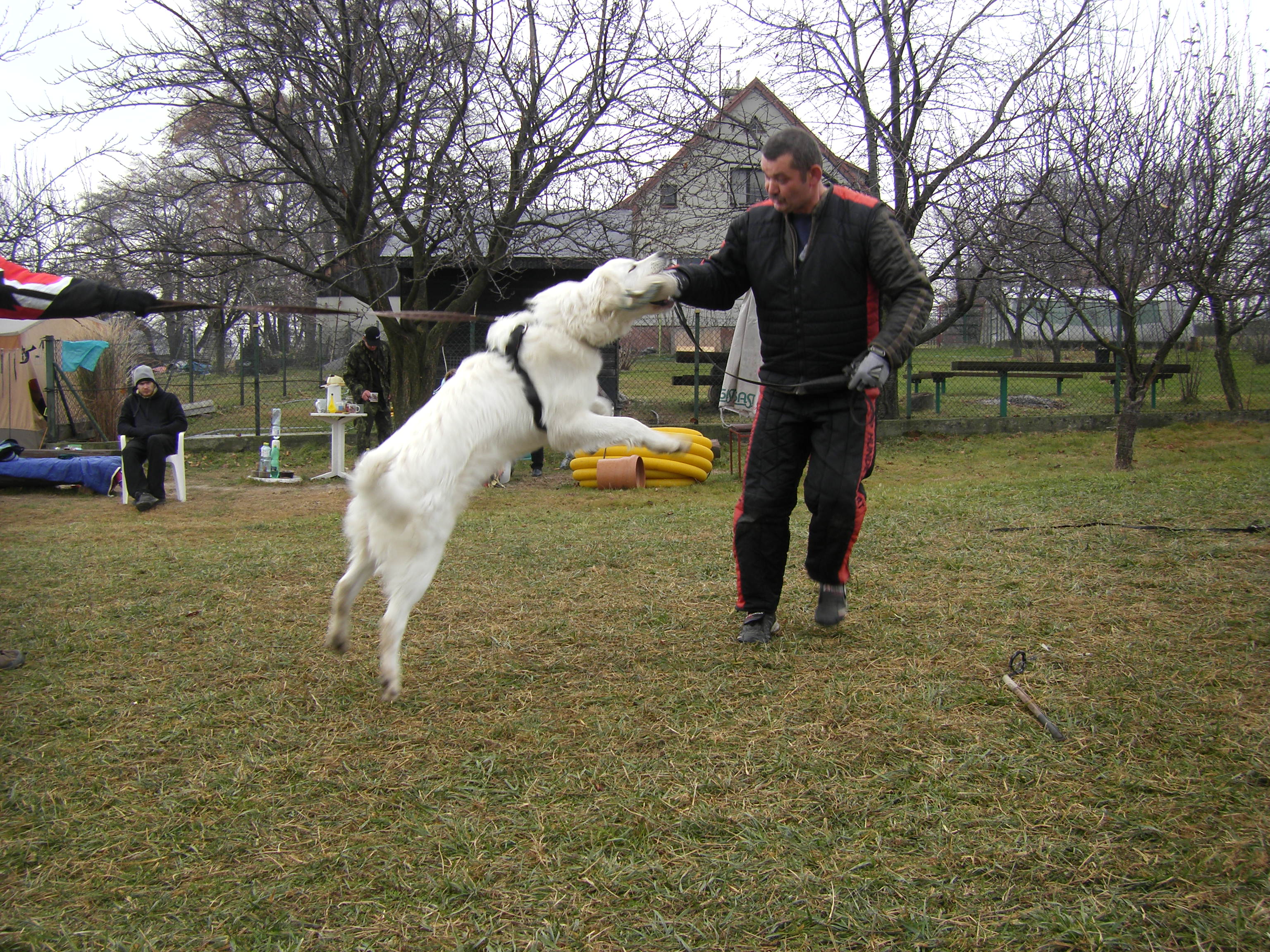 SOBOTA 3.12.2011 OBRANA 044