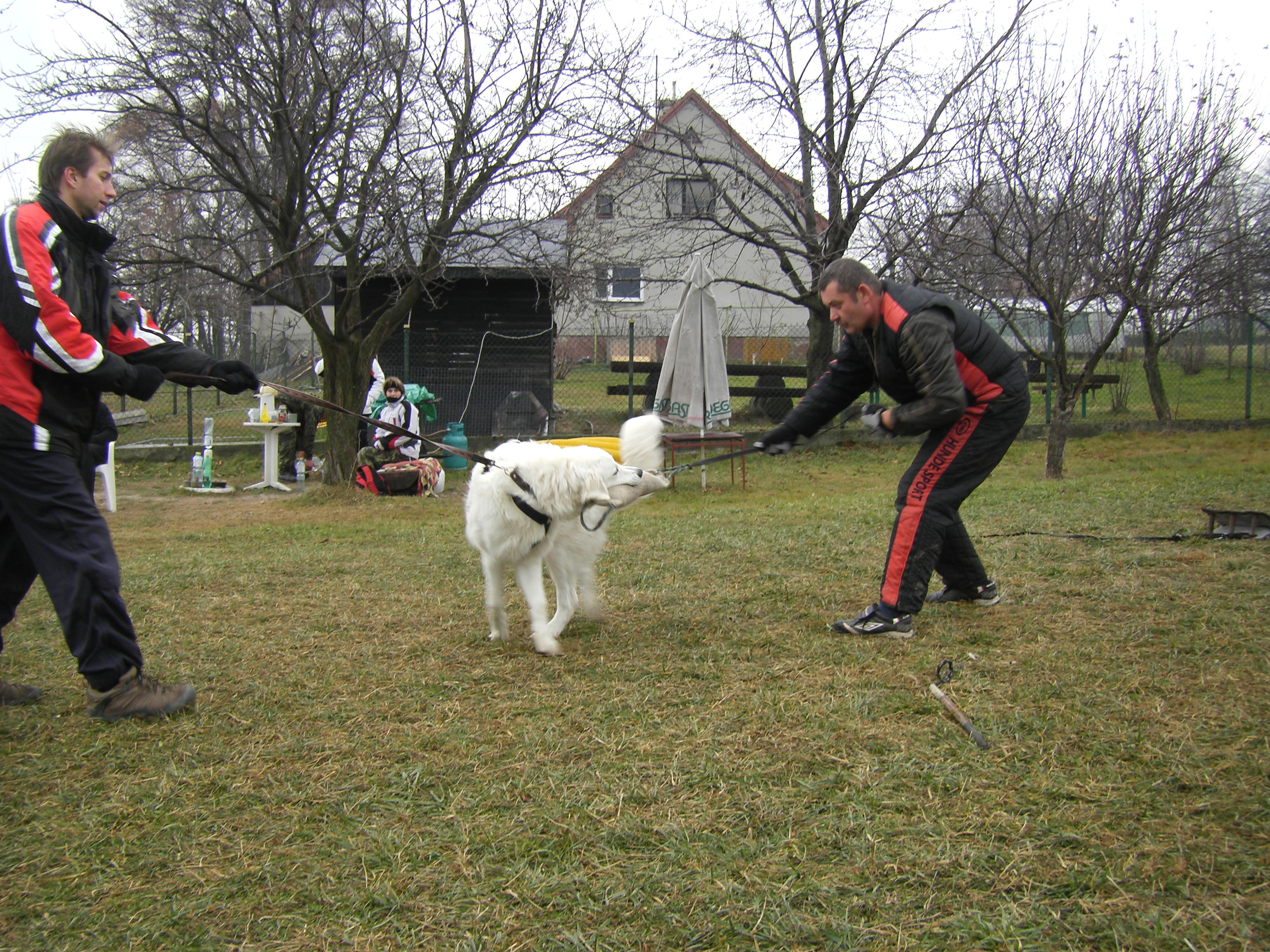 SOBOTA 3.12.2011 OBRANA 046