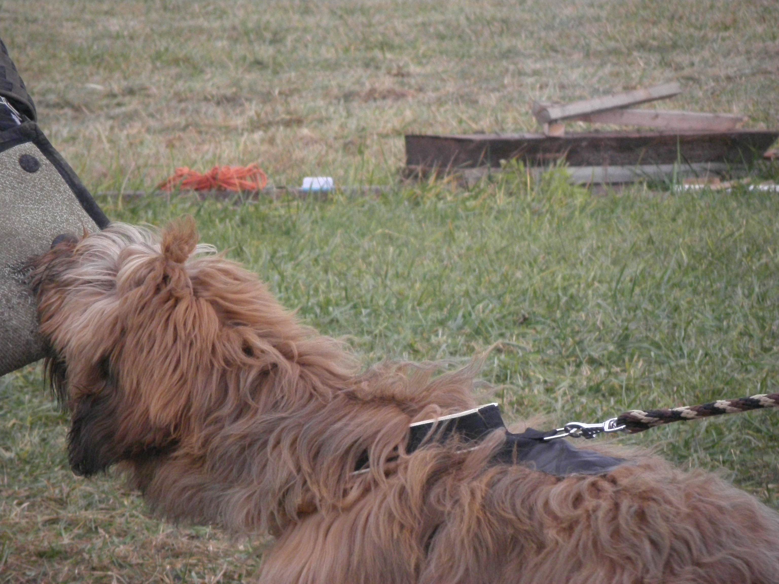 SOBOTA 3.12.2011 OBRANA 069