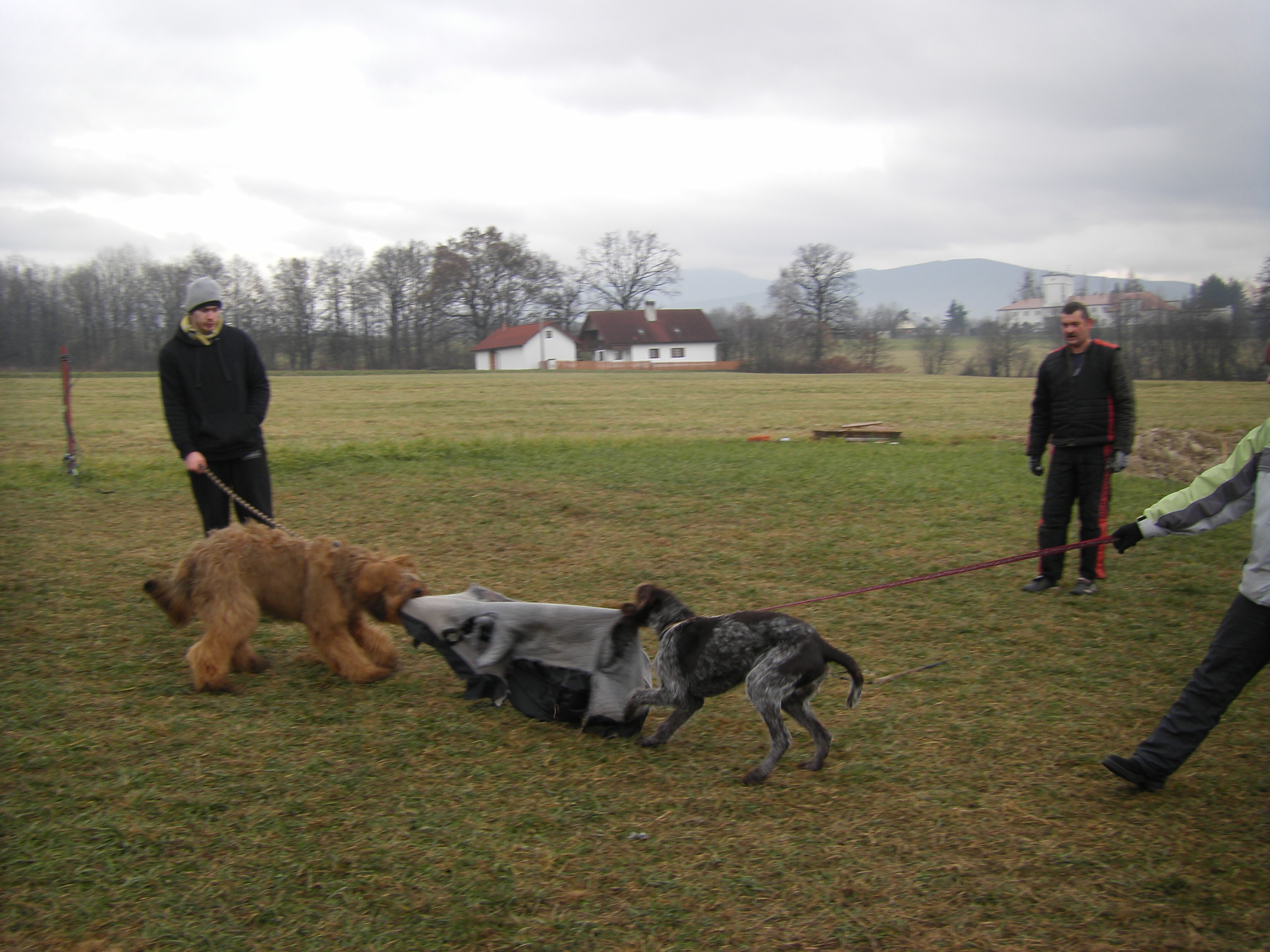 SOBOTA 3.12.2011 OBRANA 093