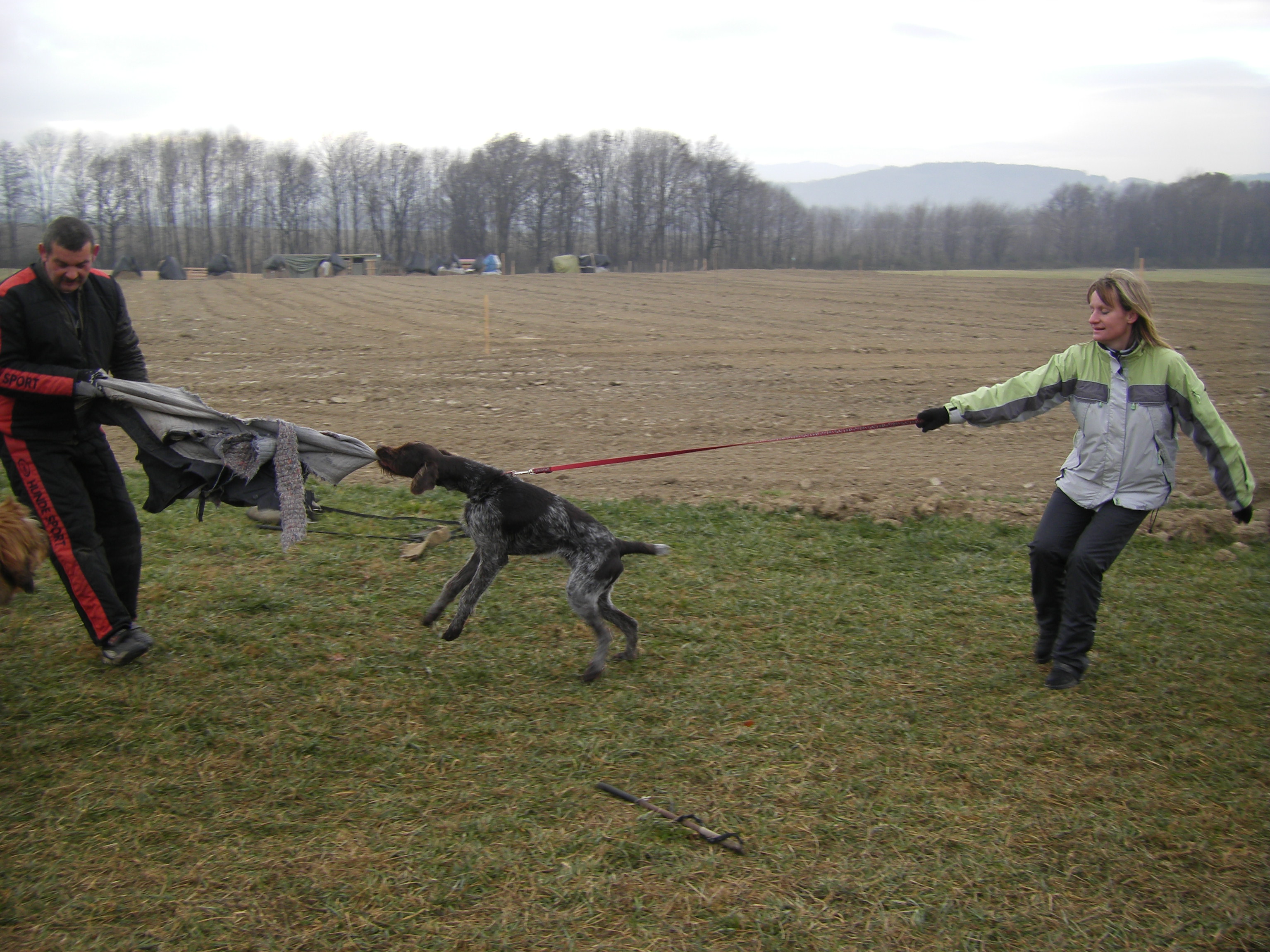 SOBOTA 3.12.2011 OBRANA 115