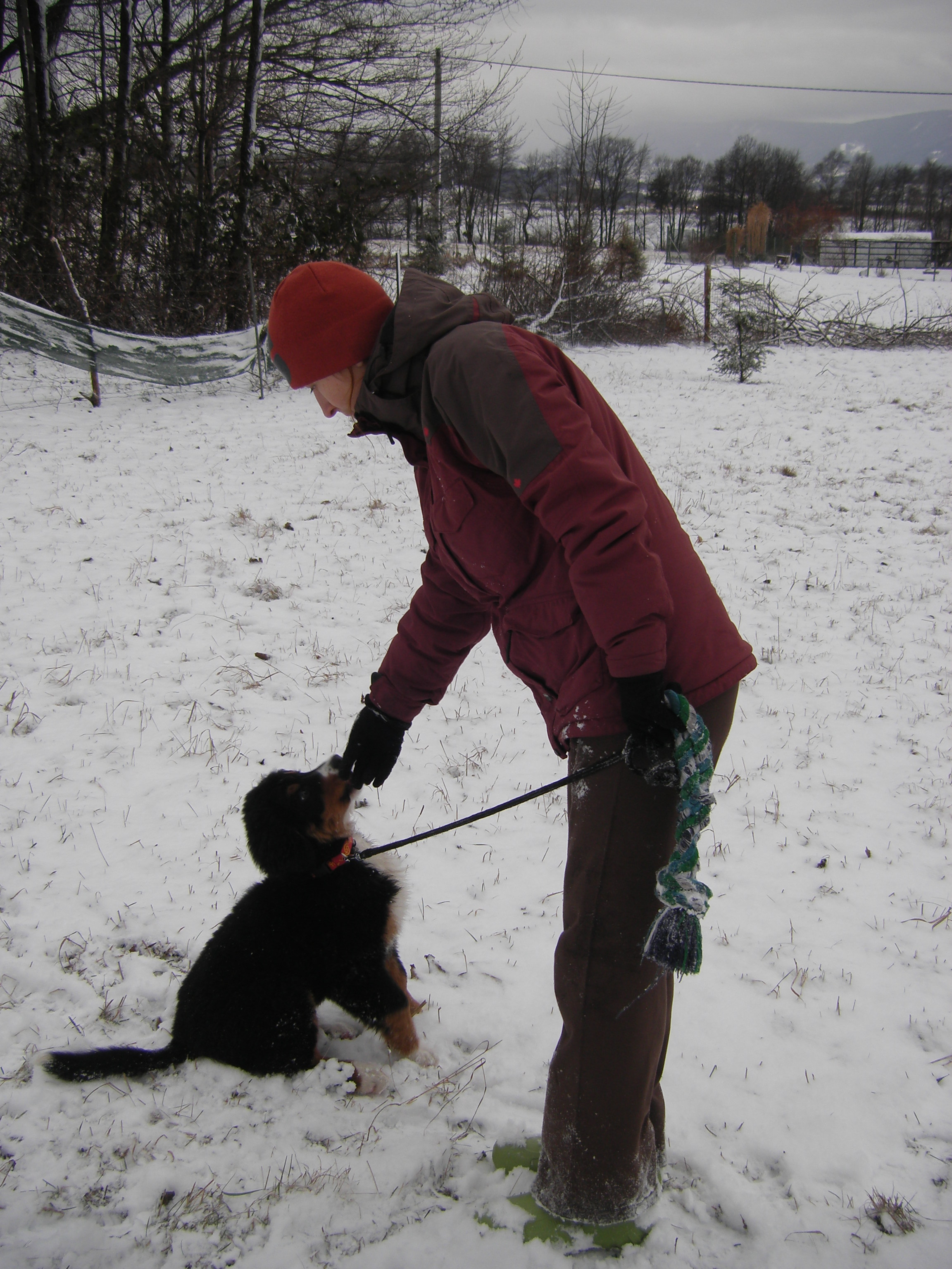 fotky z 15 a 21.1.2012 007
