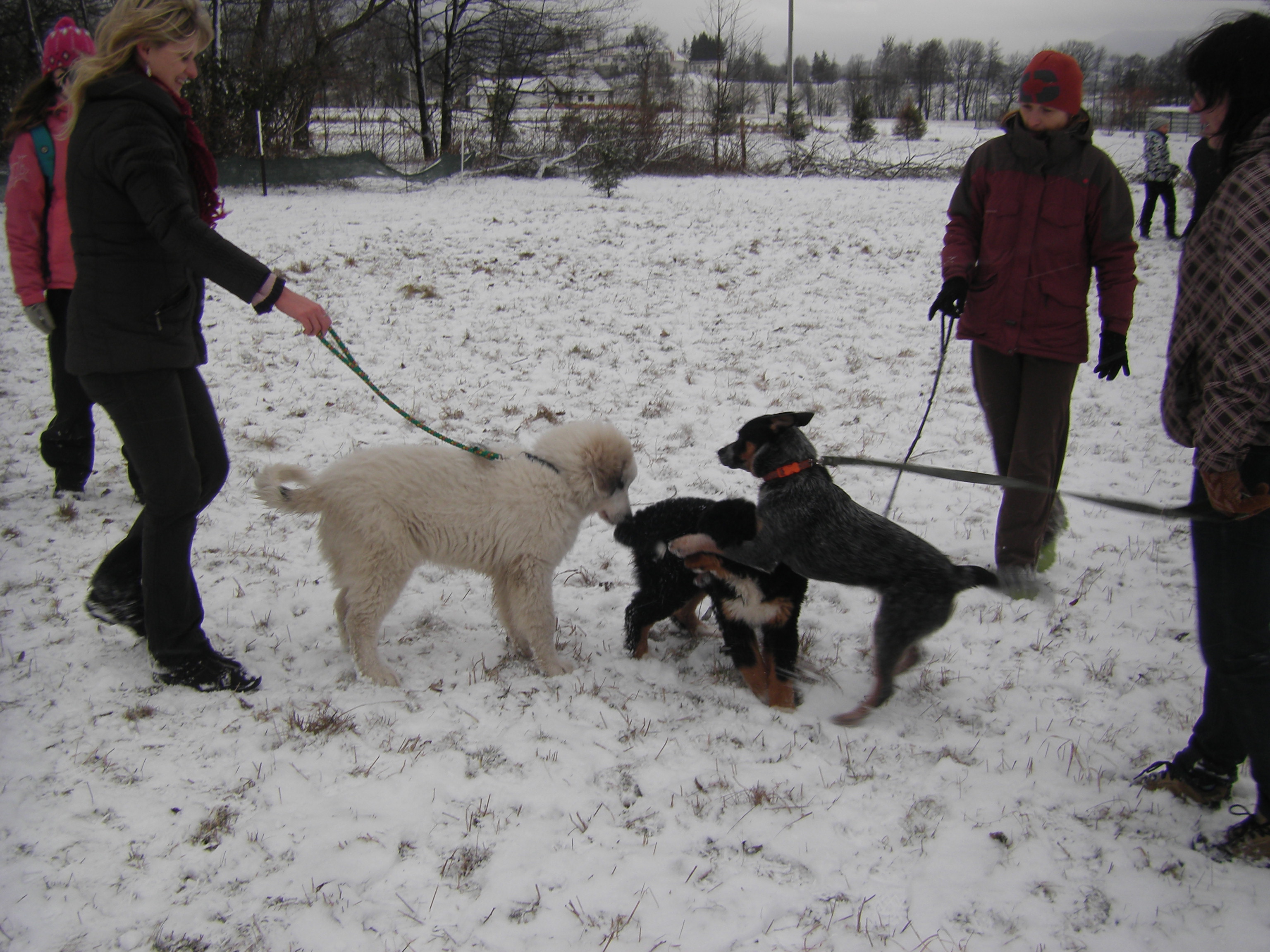 fotky z 15 a 21.1.2012 040