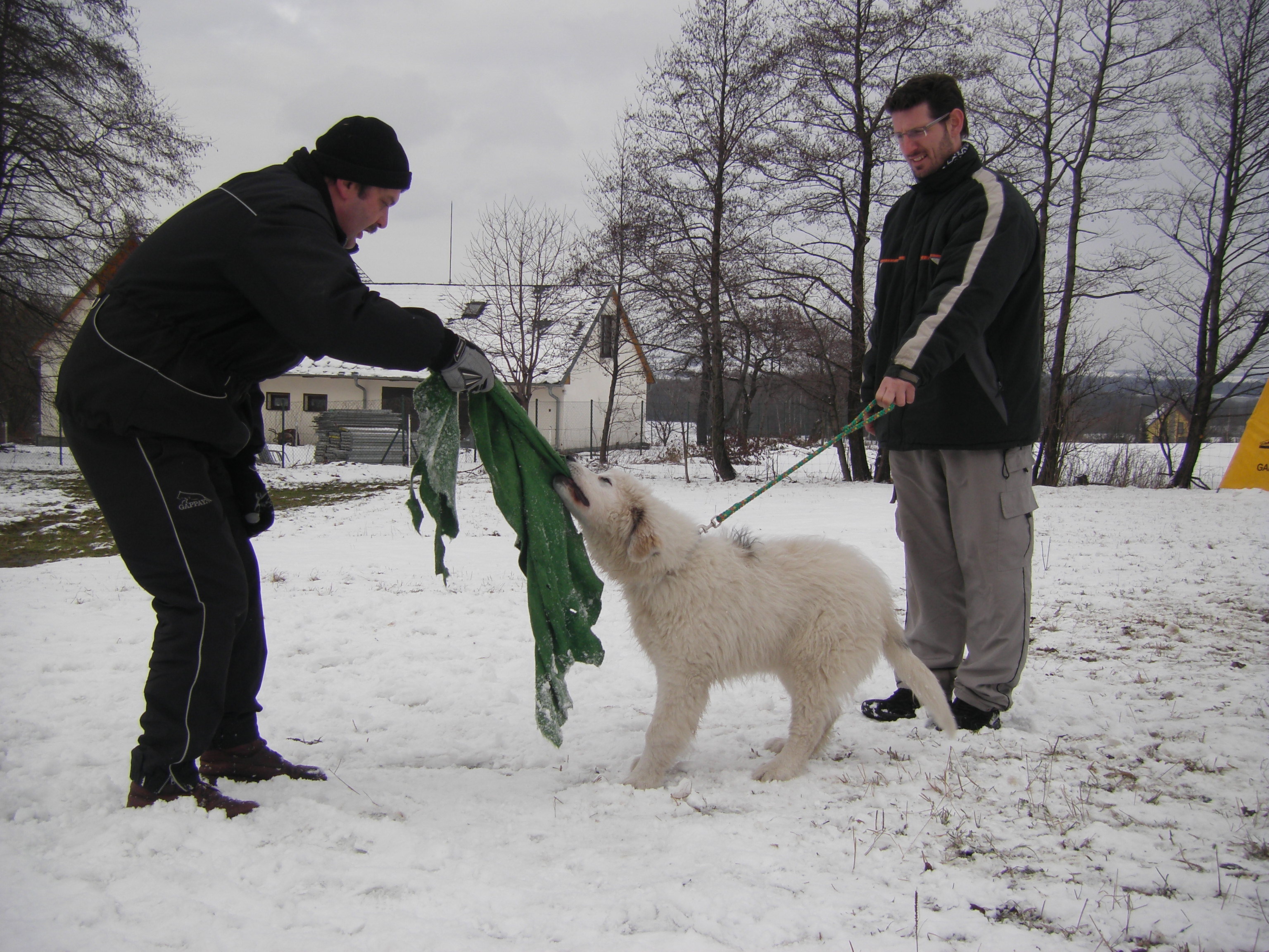 fotky z 15 a 21.1.2012 081