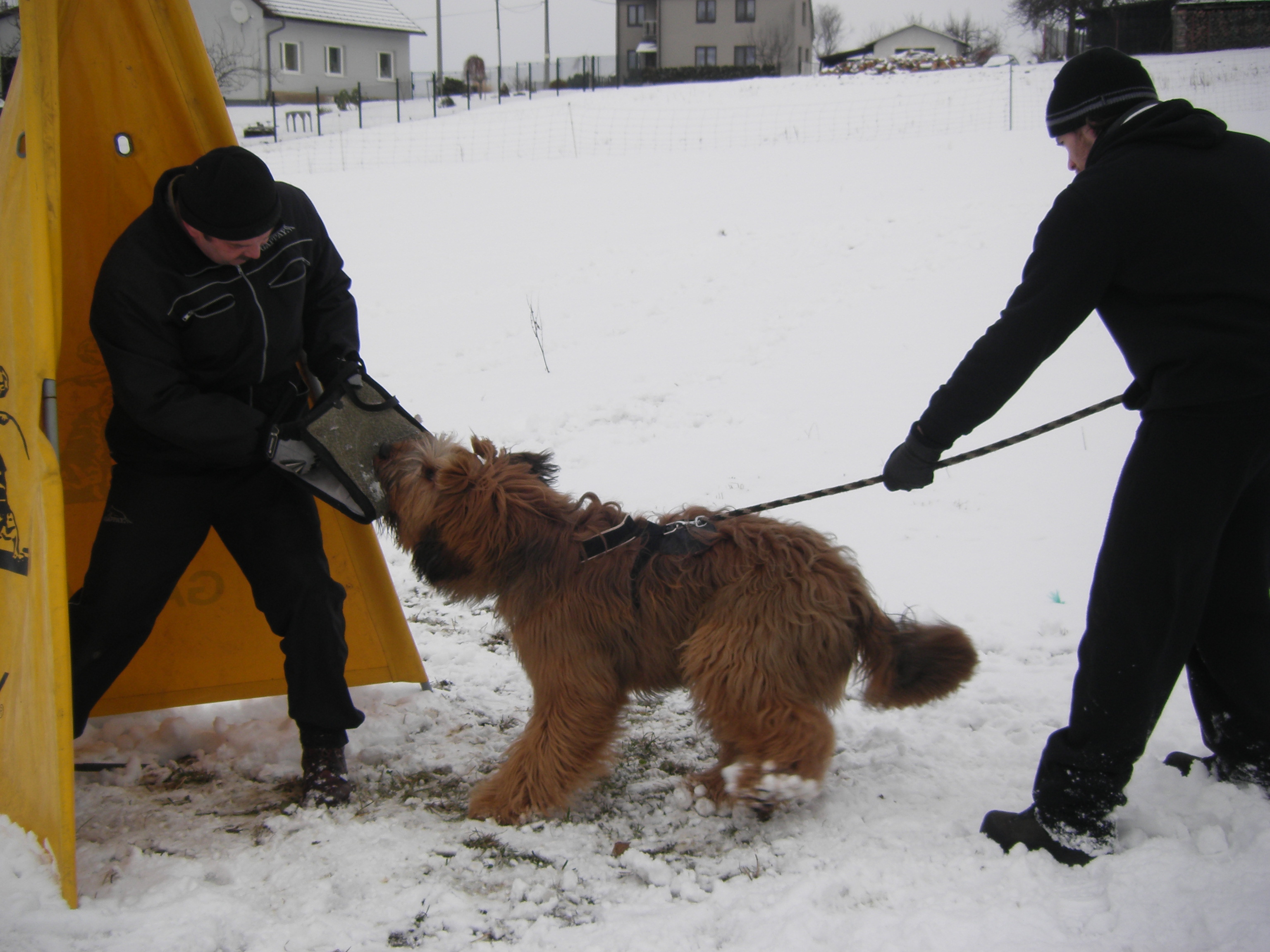 fotky z 15 a 21.1.2012 104