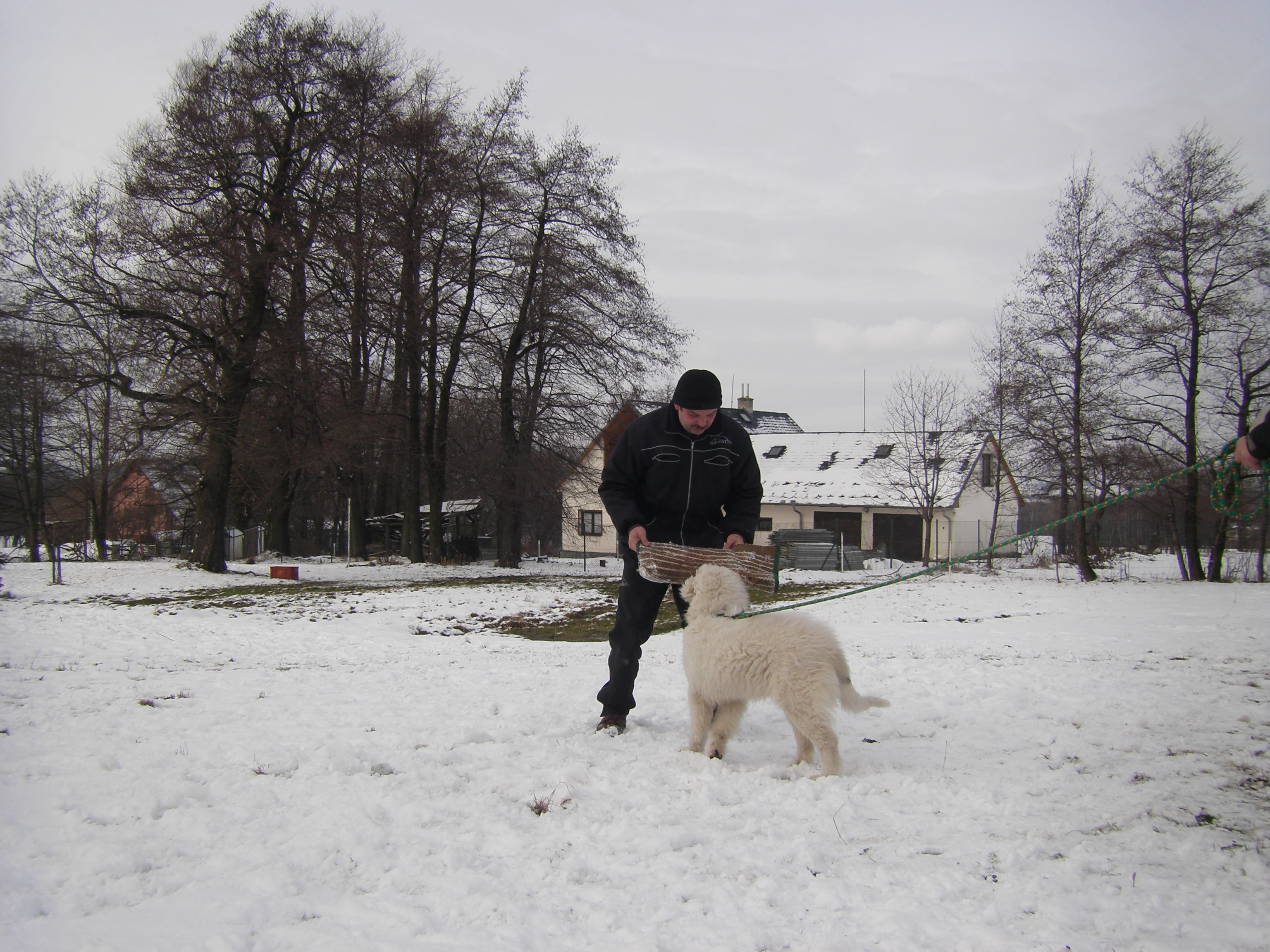 fotky z 15 a 21.1.2012 122