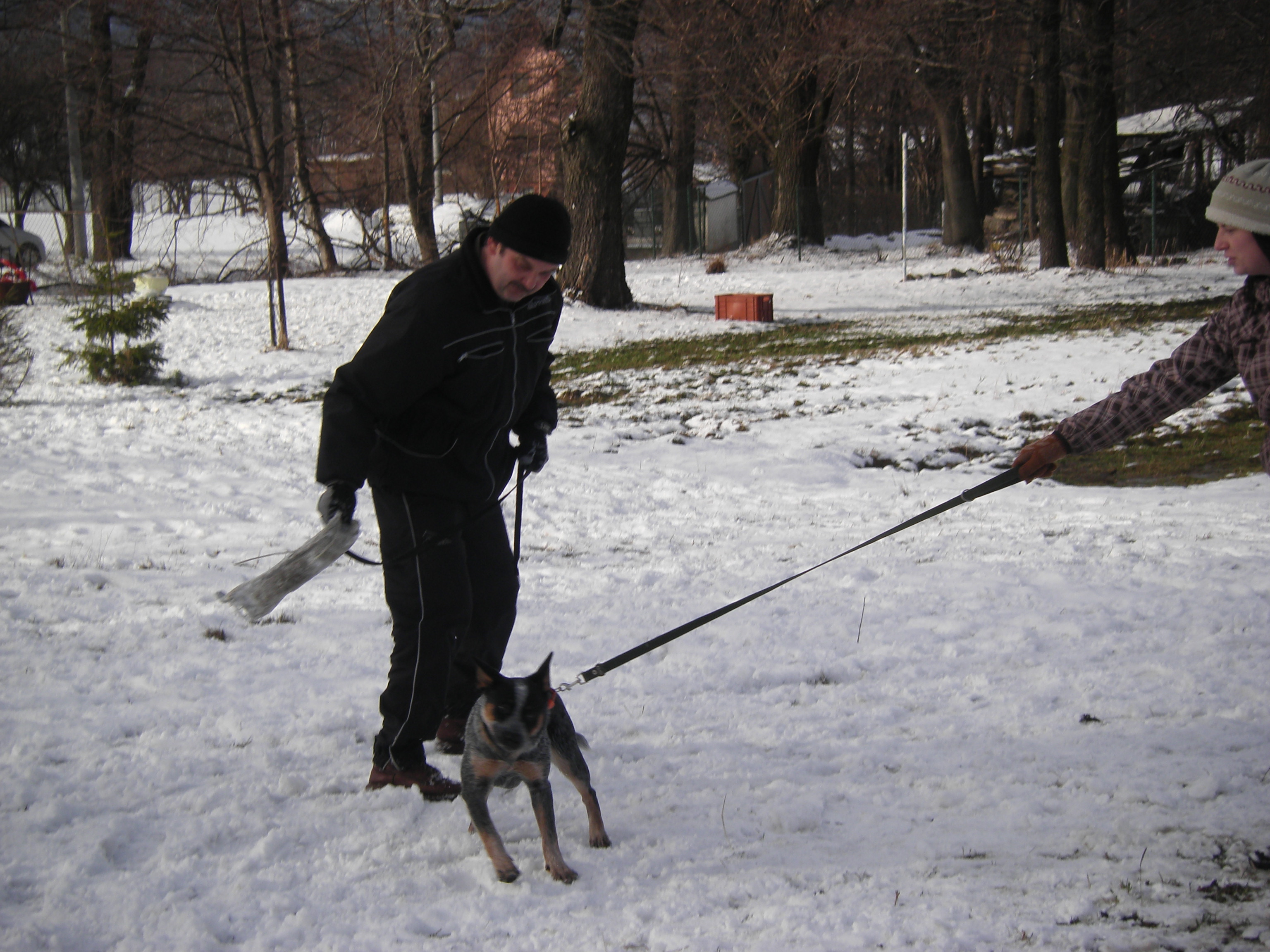 fotky z 15 a 21.1.2012 141