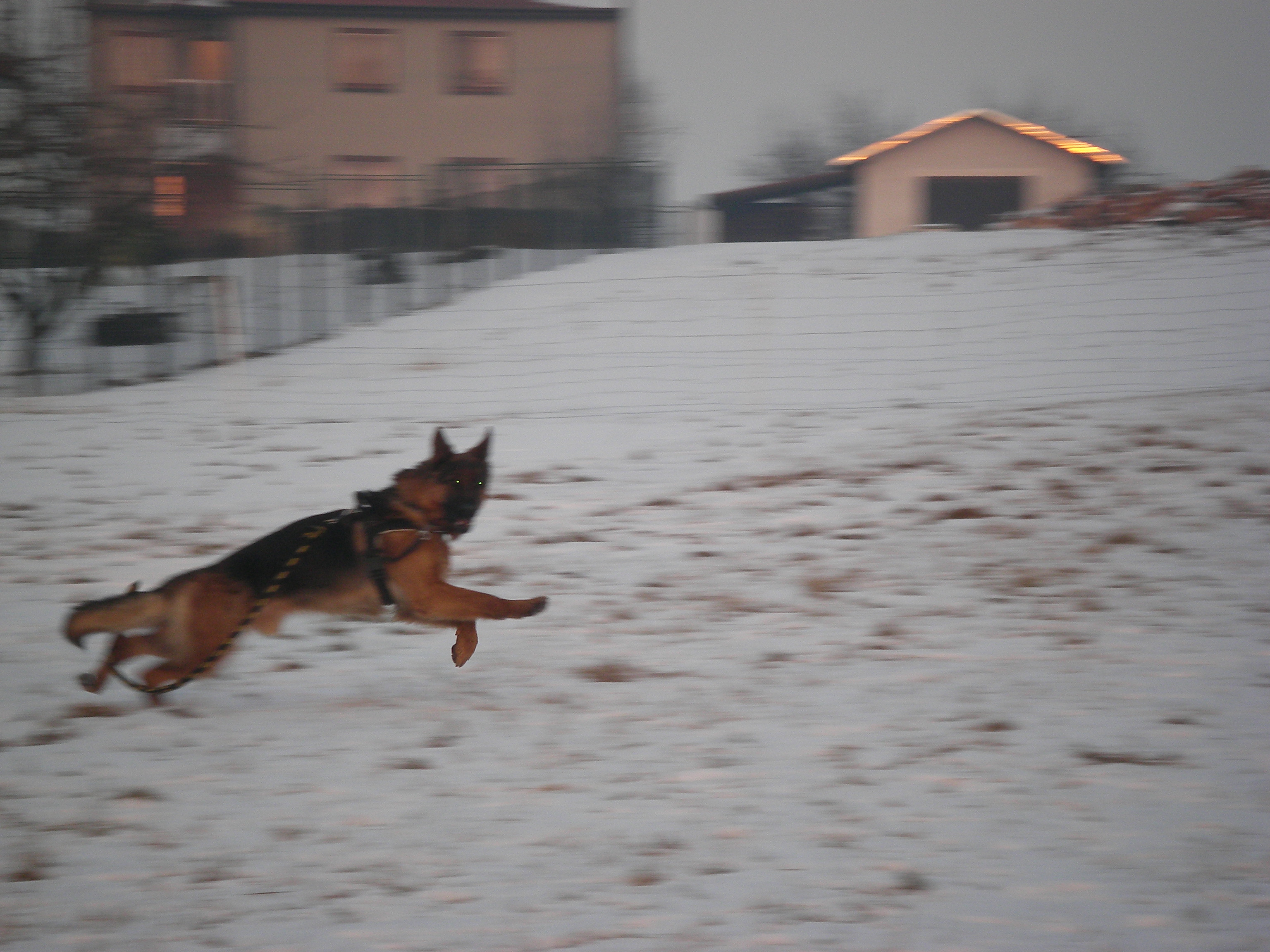 sobota 28.1.2012 27.1.-obrany 002