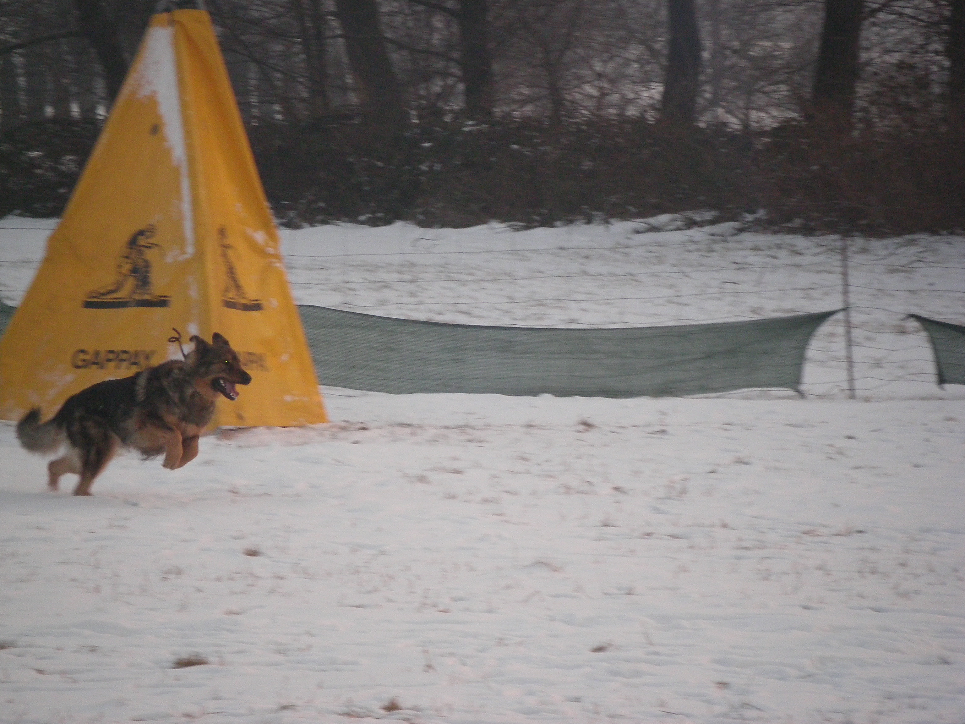 sobota 28.1.2012 27.1.-obrany 022