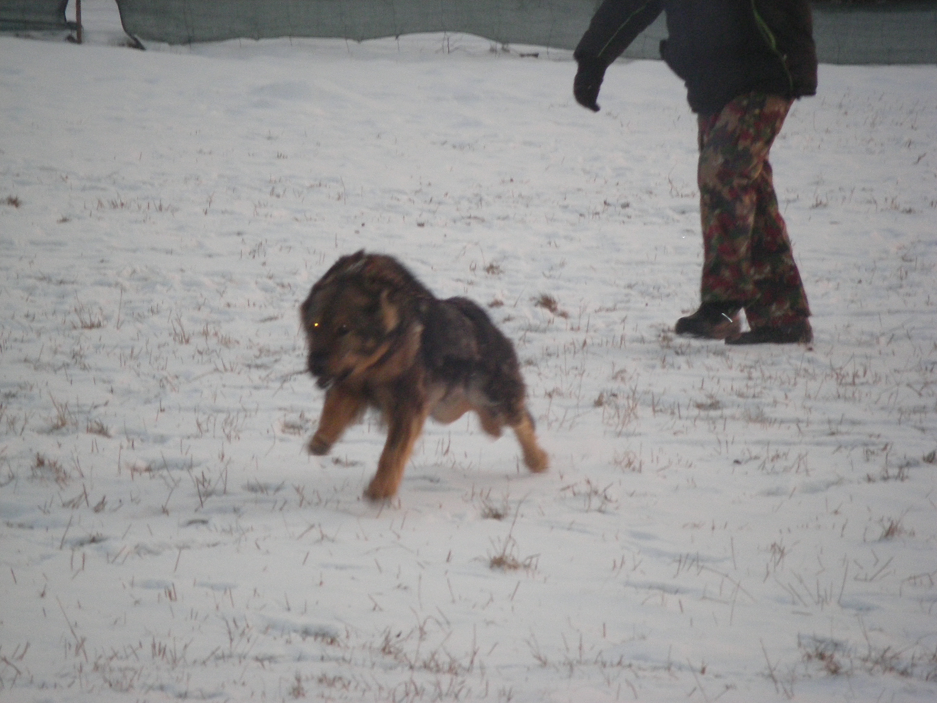 sobota 28.1.2012 27.1.-obrany 023