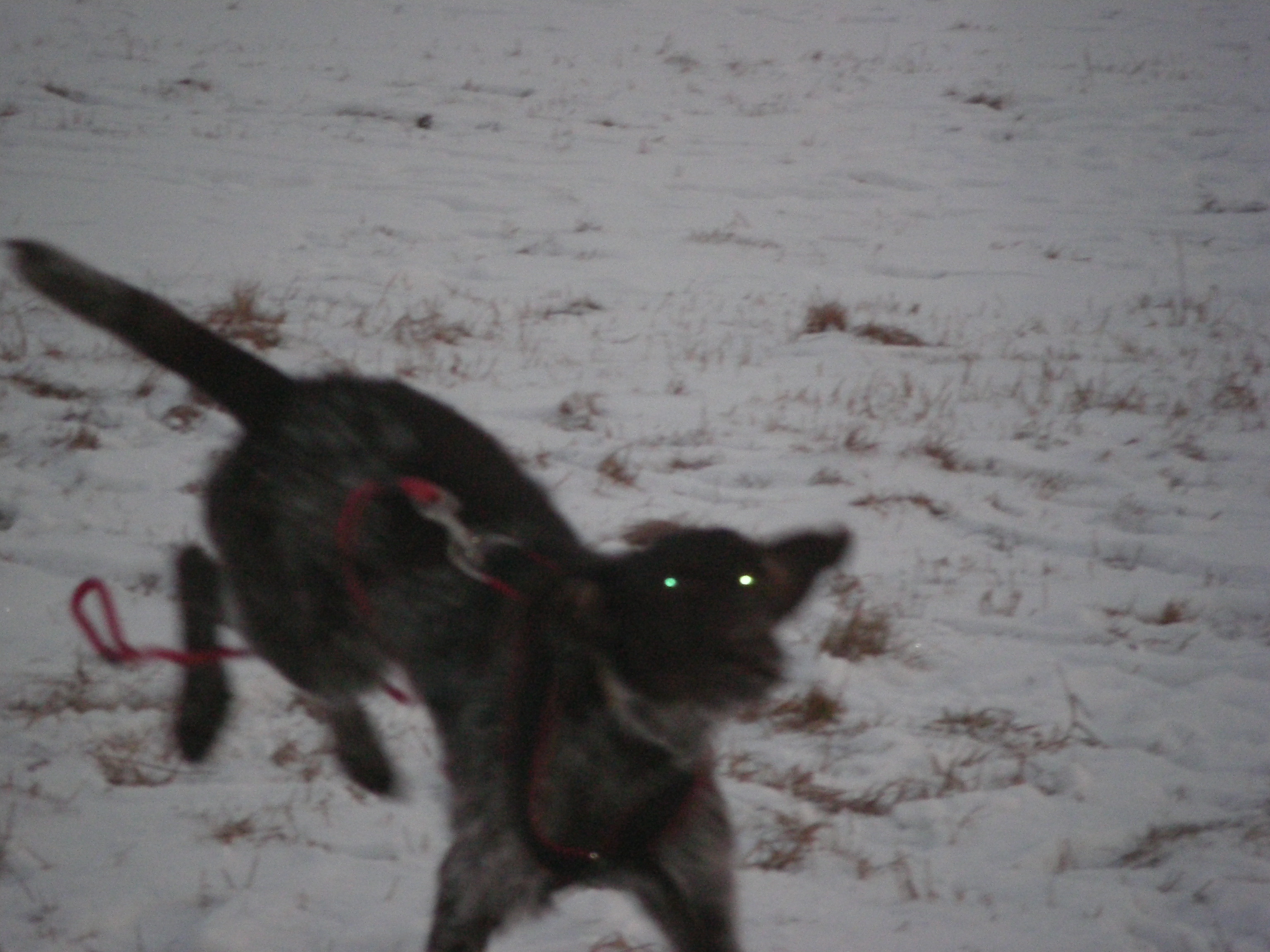 sobota 28.1.2012 27.1.-obrany 054