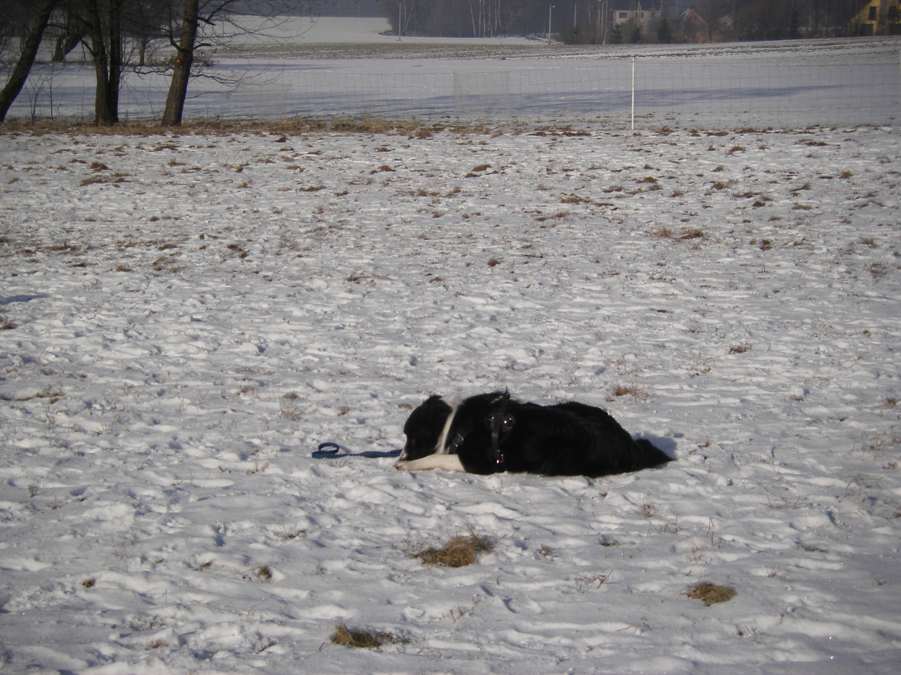 sobota 28.1.2012 27.1.-obrany 090