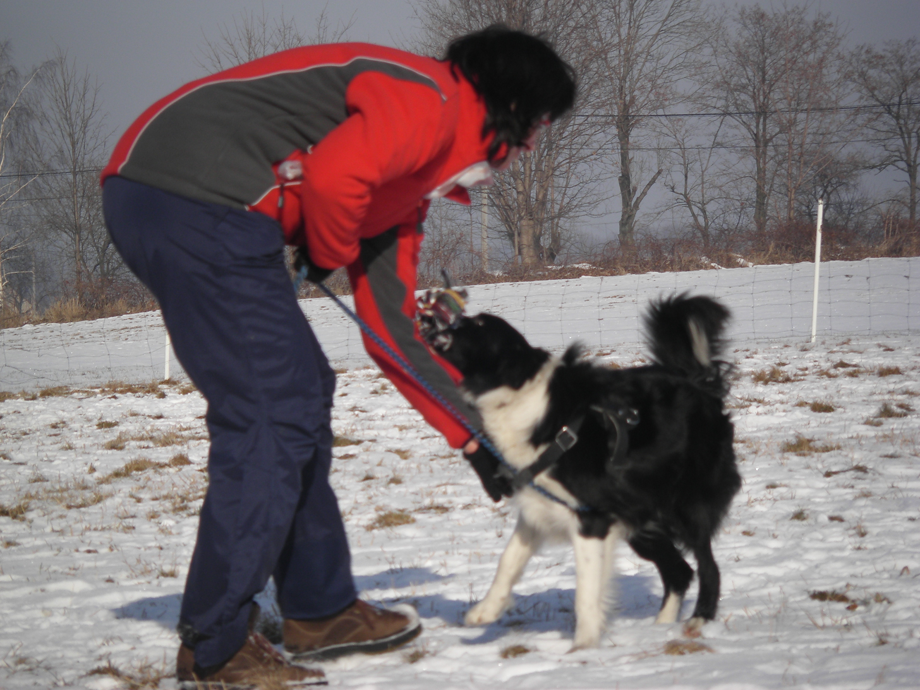 sobota 28.1.2012 27.1.-obrany 093