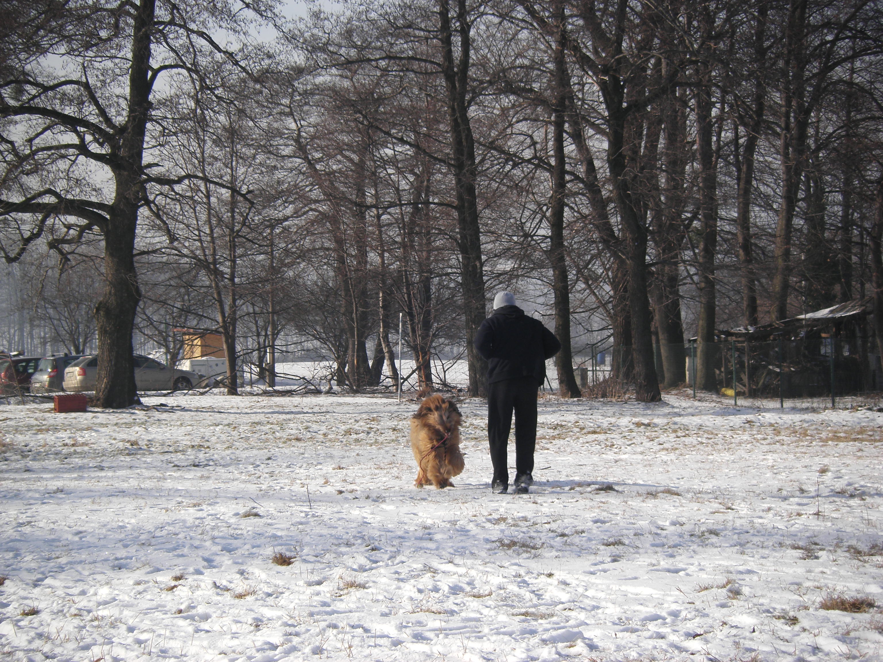 sobota 28.1.2012 27.1.-obrany 108