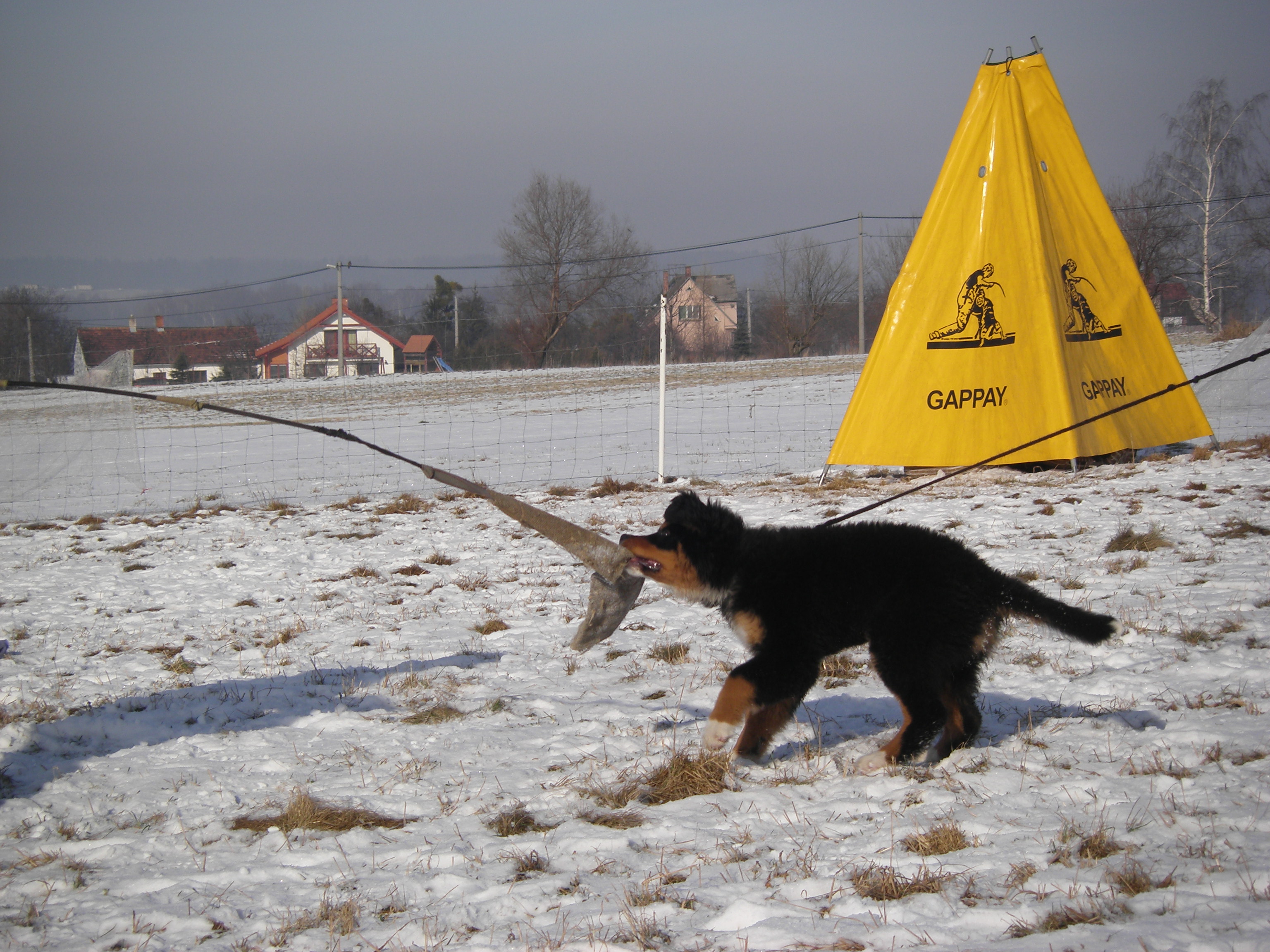 sobota 28.1.2012 27.1.-obrany 124