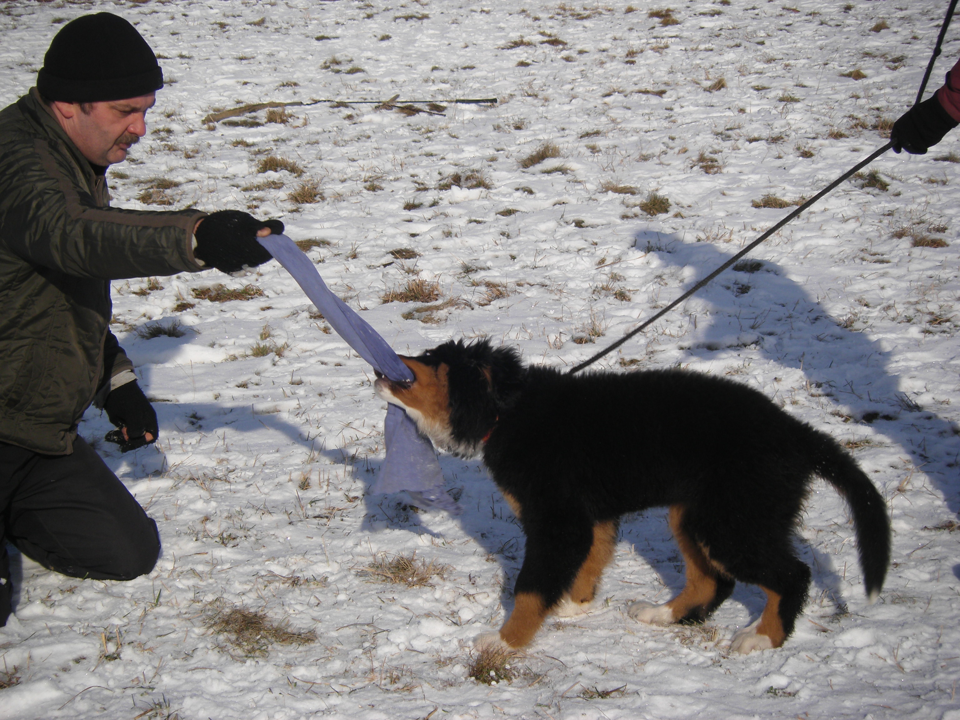 sobota 28.1.2012 27.1.-obrany 138