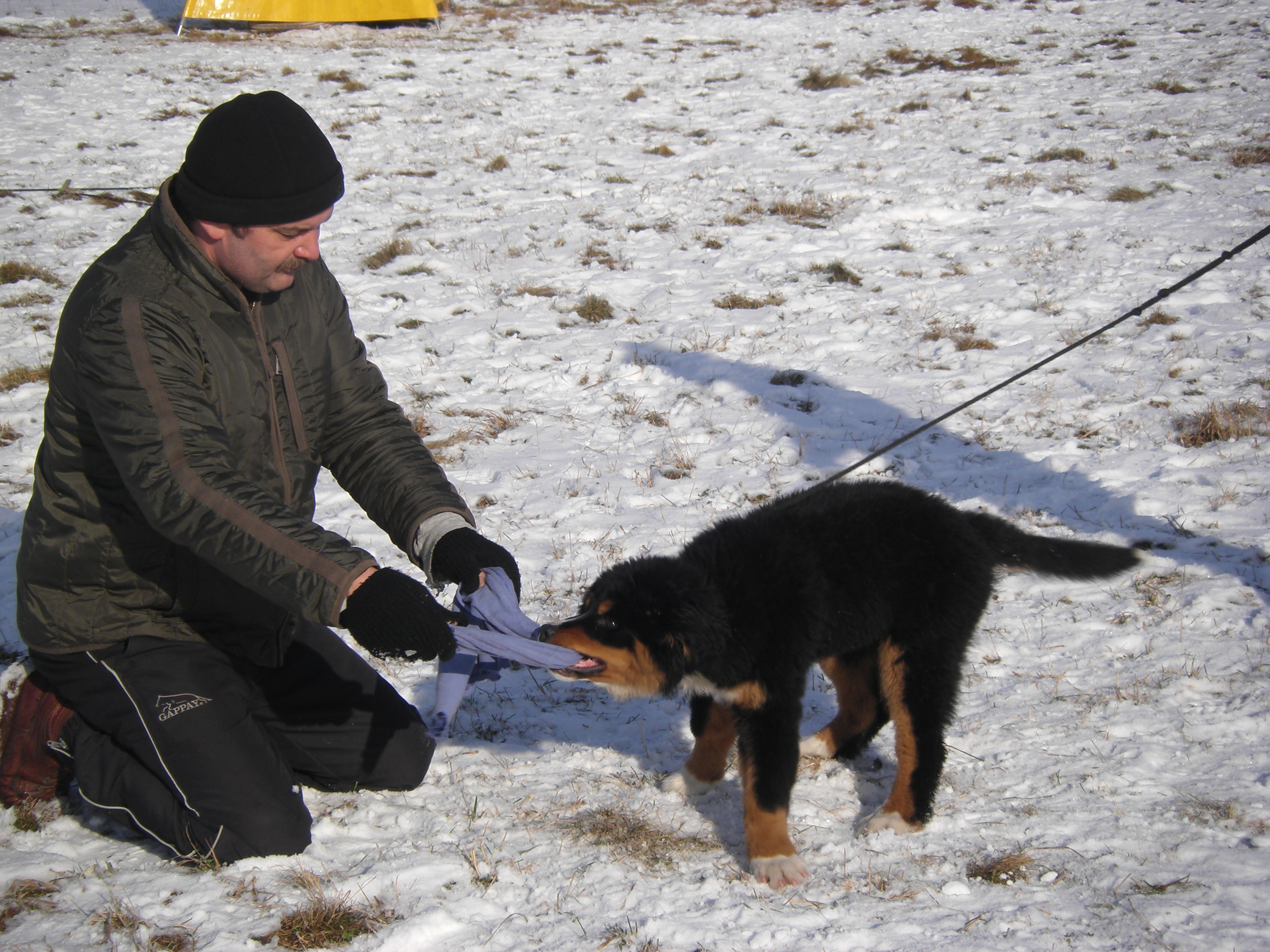 sobota 28.1.2012 27.1.-obrany 140