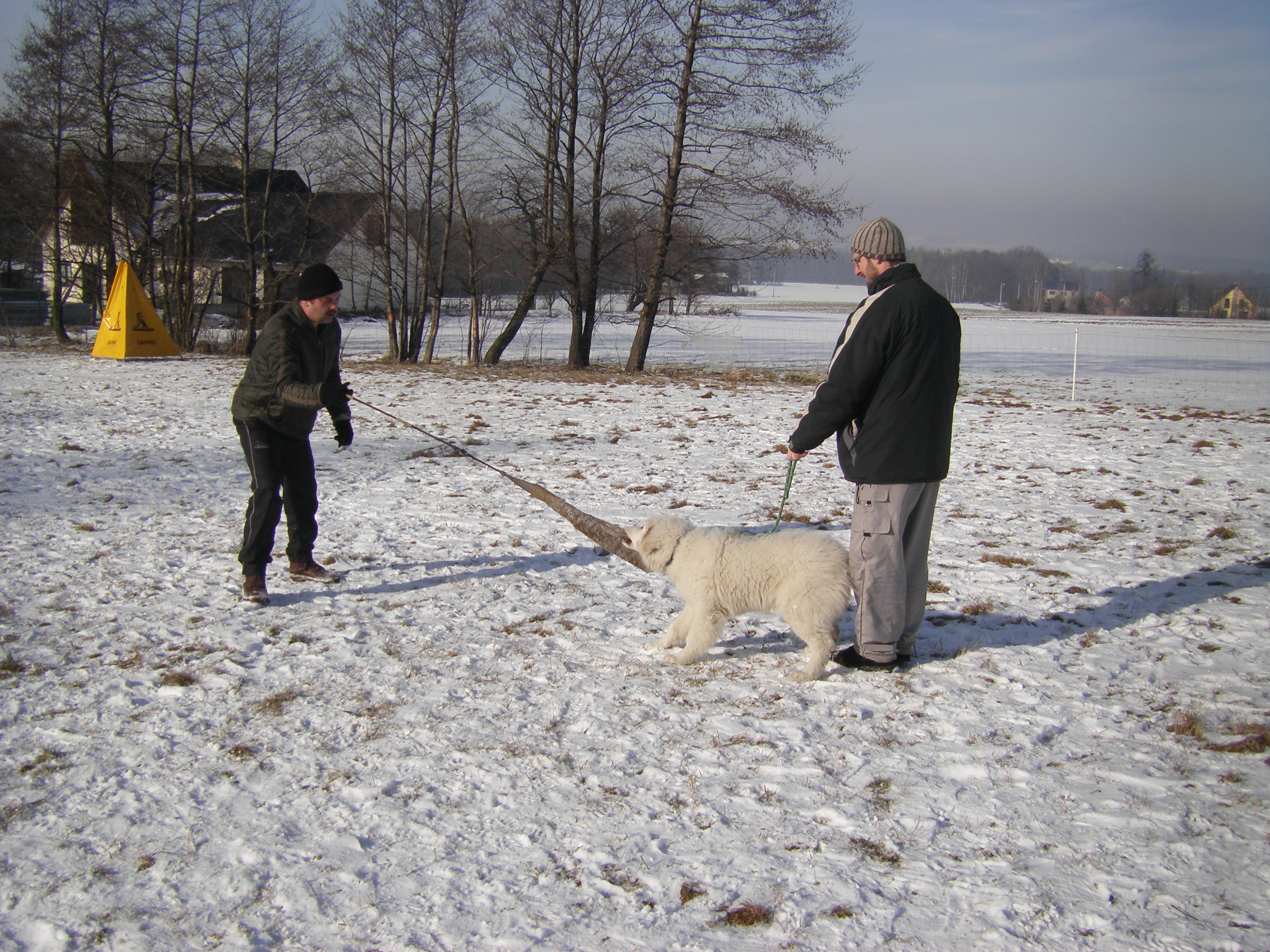 sobota 28.1.2012 27.1.-obrany 145