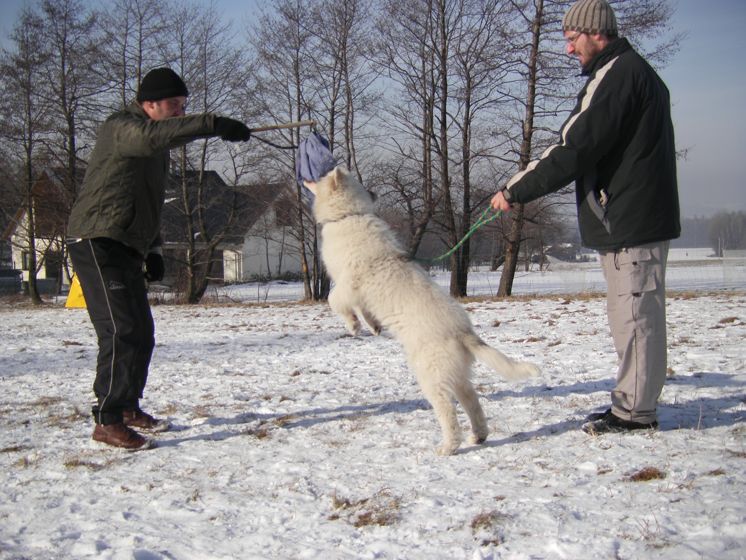 sobota 28.1.2012 27.1.-obrany 156