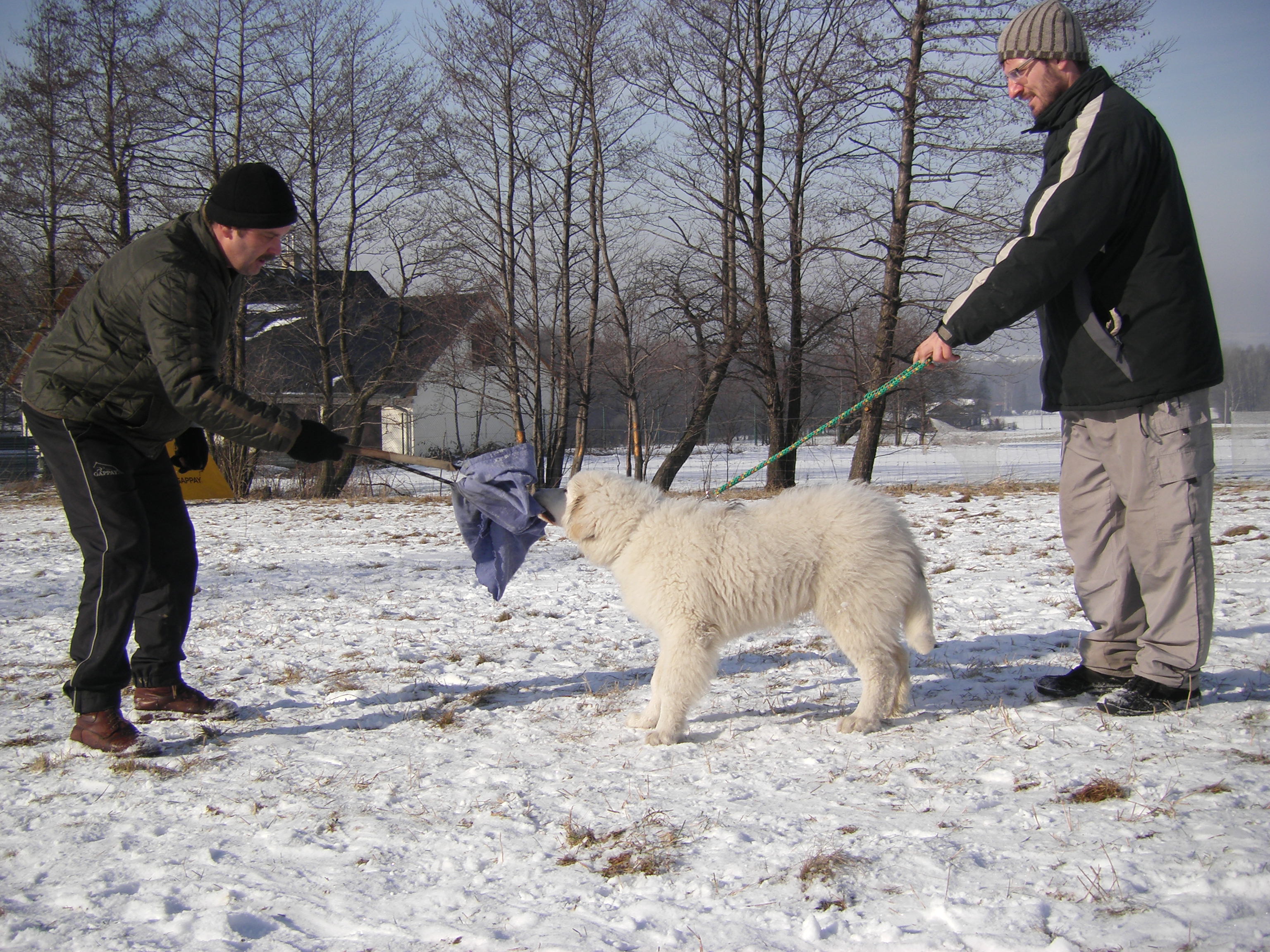 sobota 28.1.2012 27.1.-obrany 157