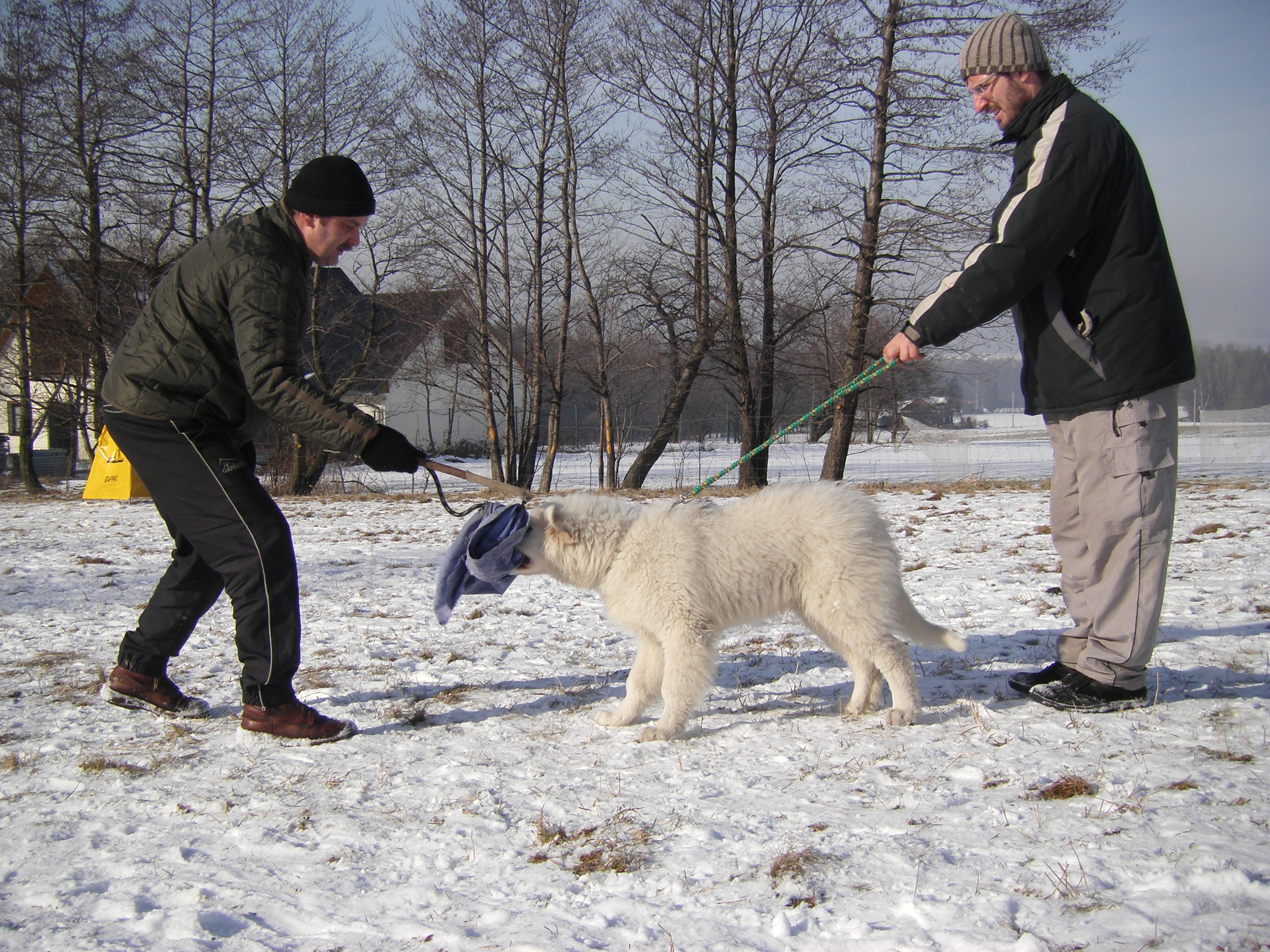 sobota 28.1.2012 27.1.-obrany 158