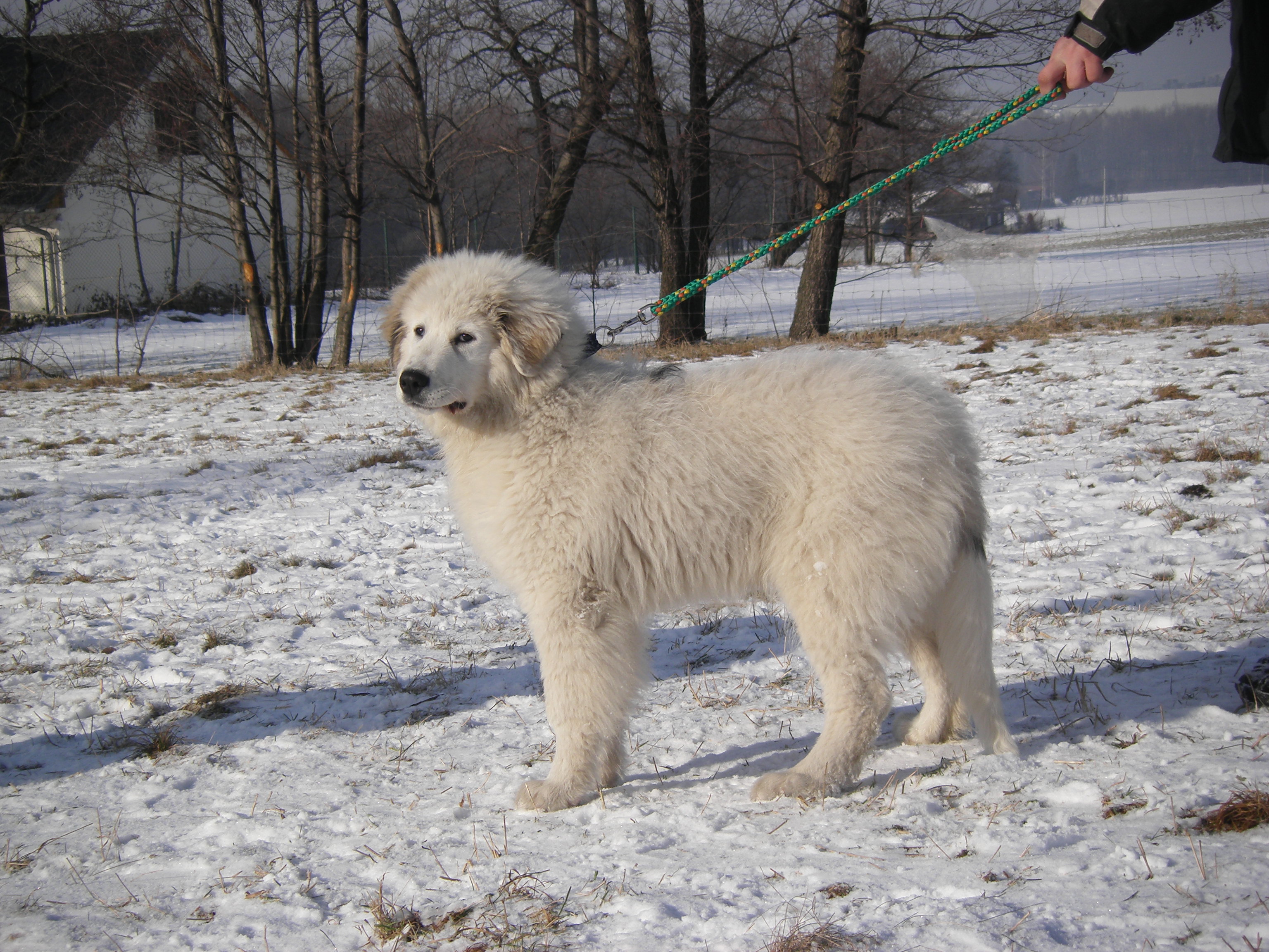 sobota 28.1.2012 27.1.-obrany 160