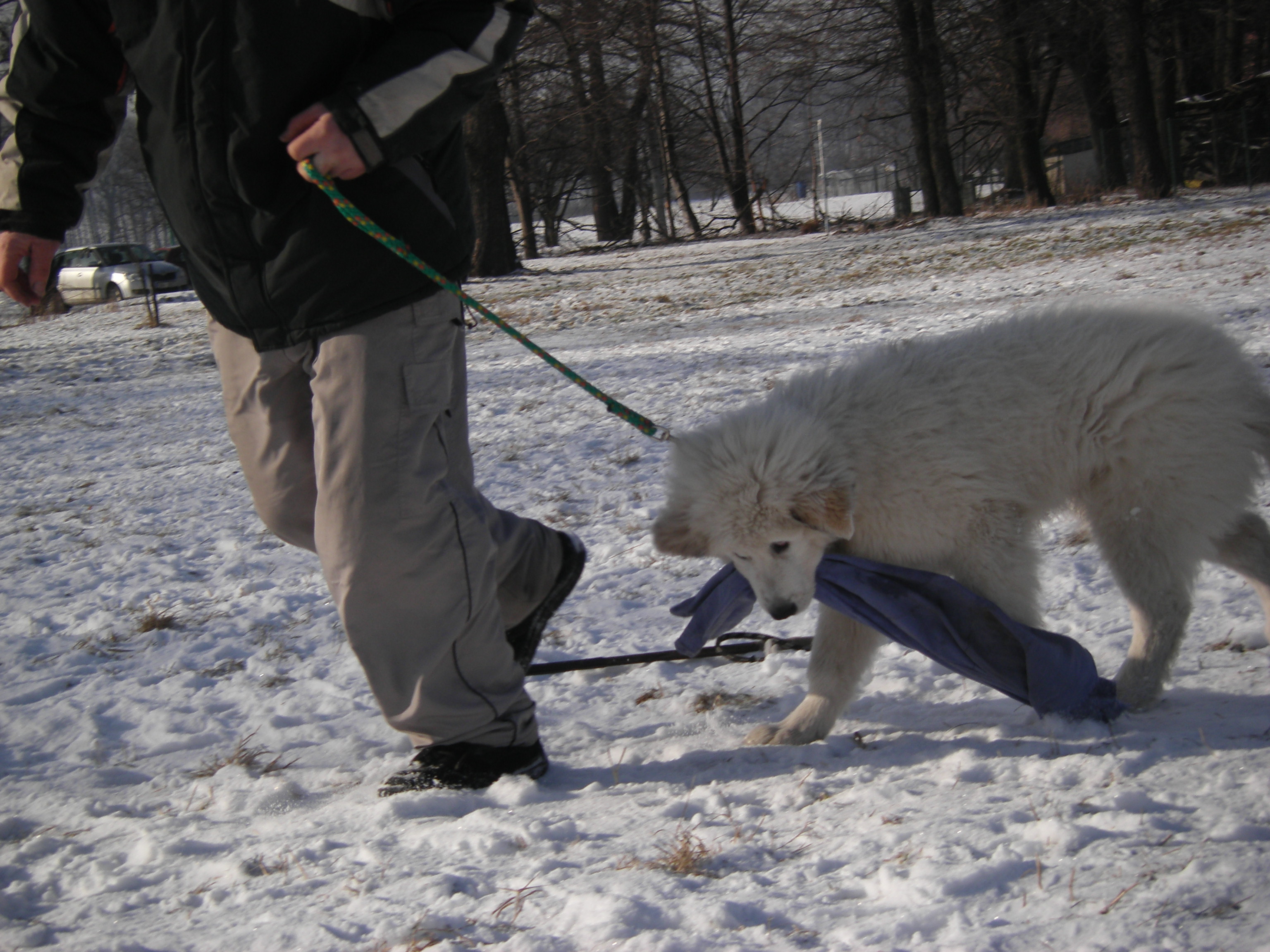 sobota 28.1.2012 27.1.-obrany 161