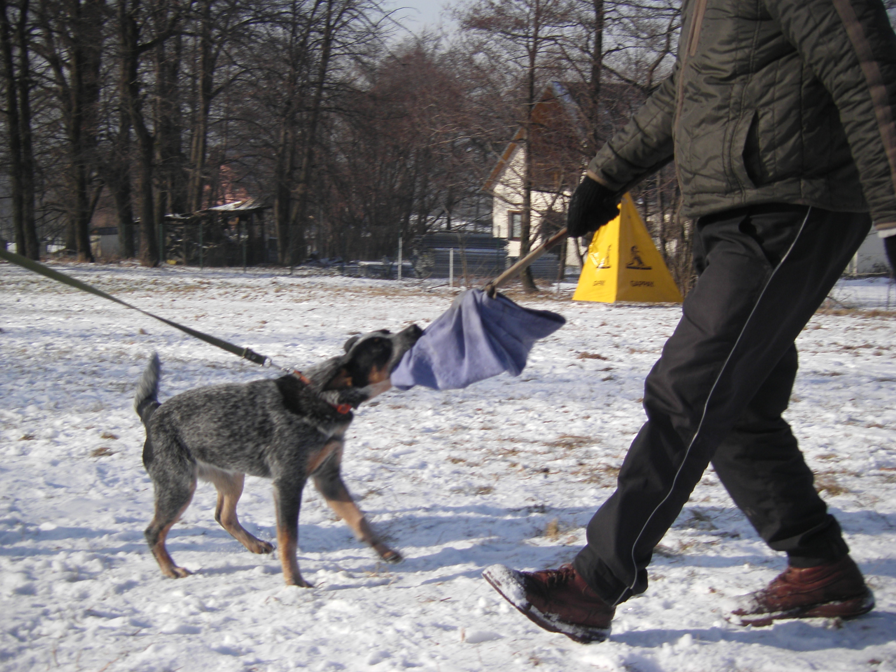 sobota 28.1.2012 27.1.-obrany 165