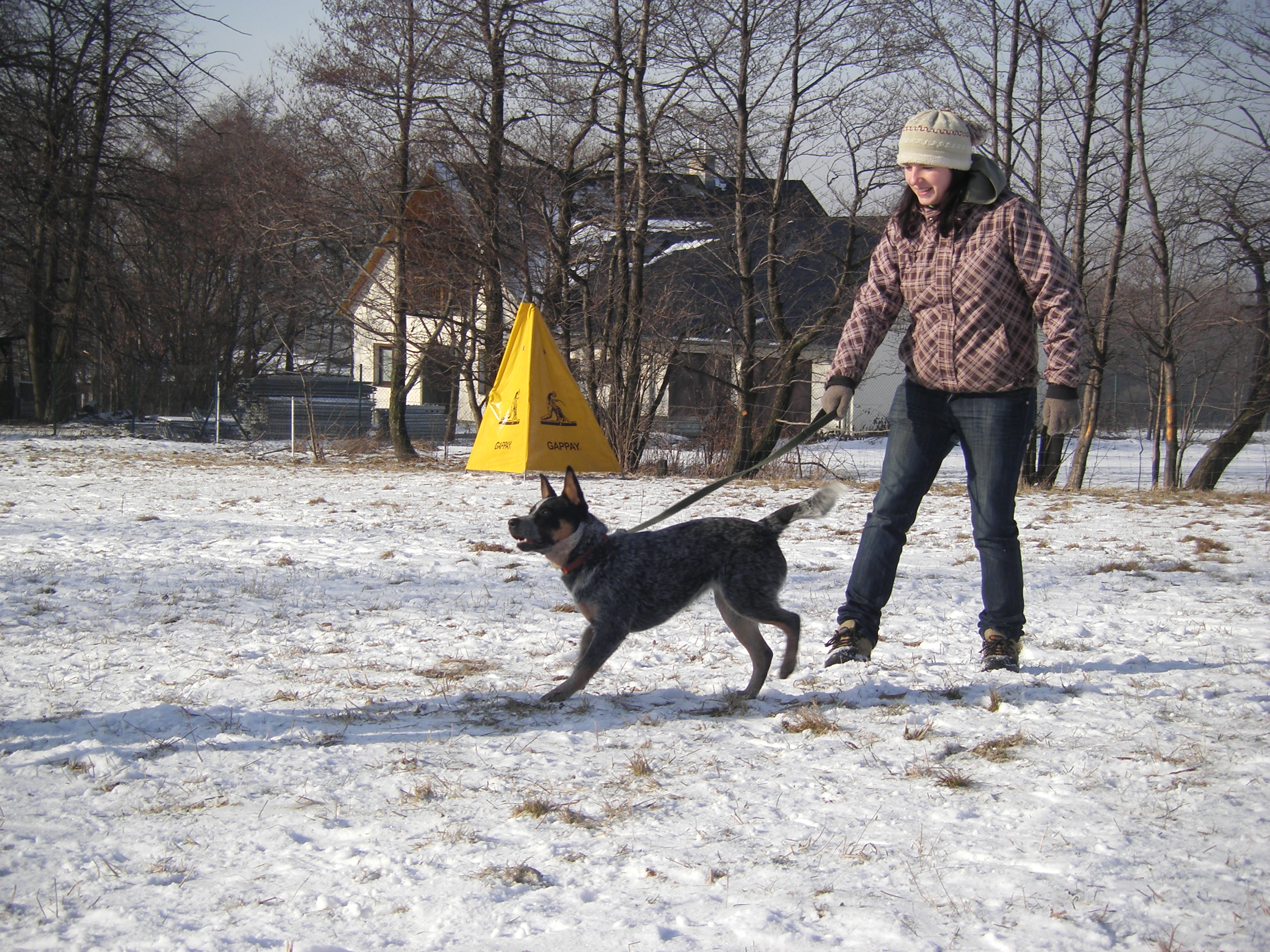 sobota 28.1.2012 27.1.-obrany 169