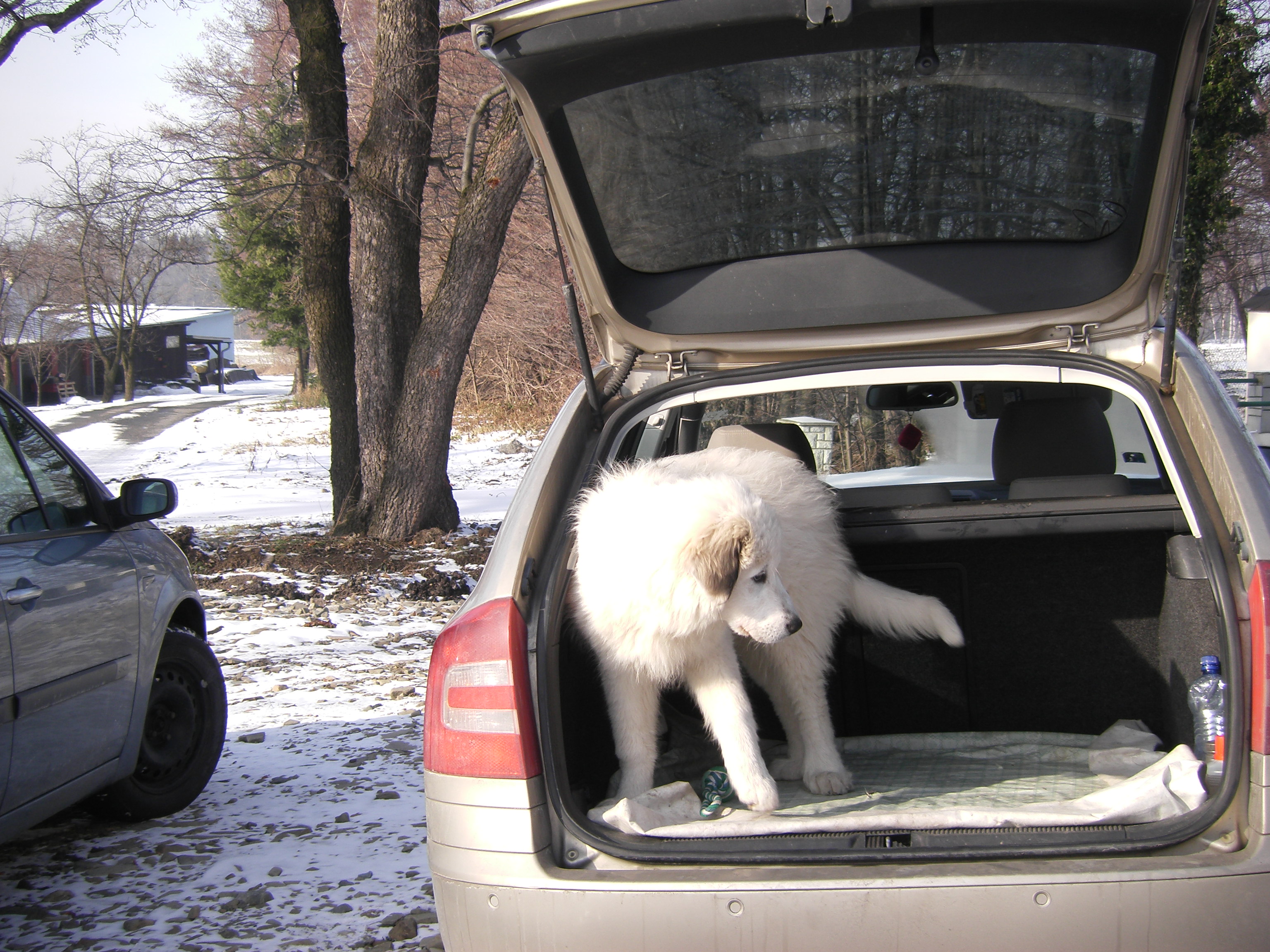 sobota 28.1.2012 27.1.-obrany 176