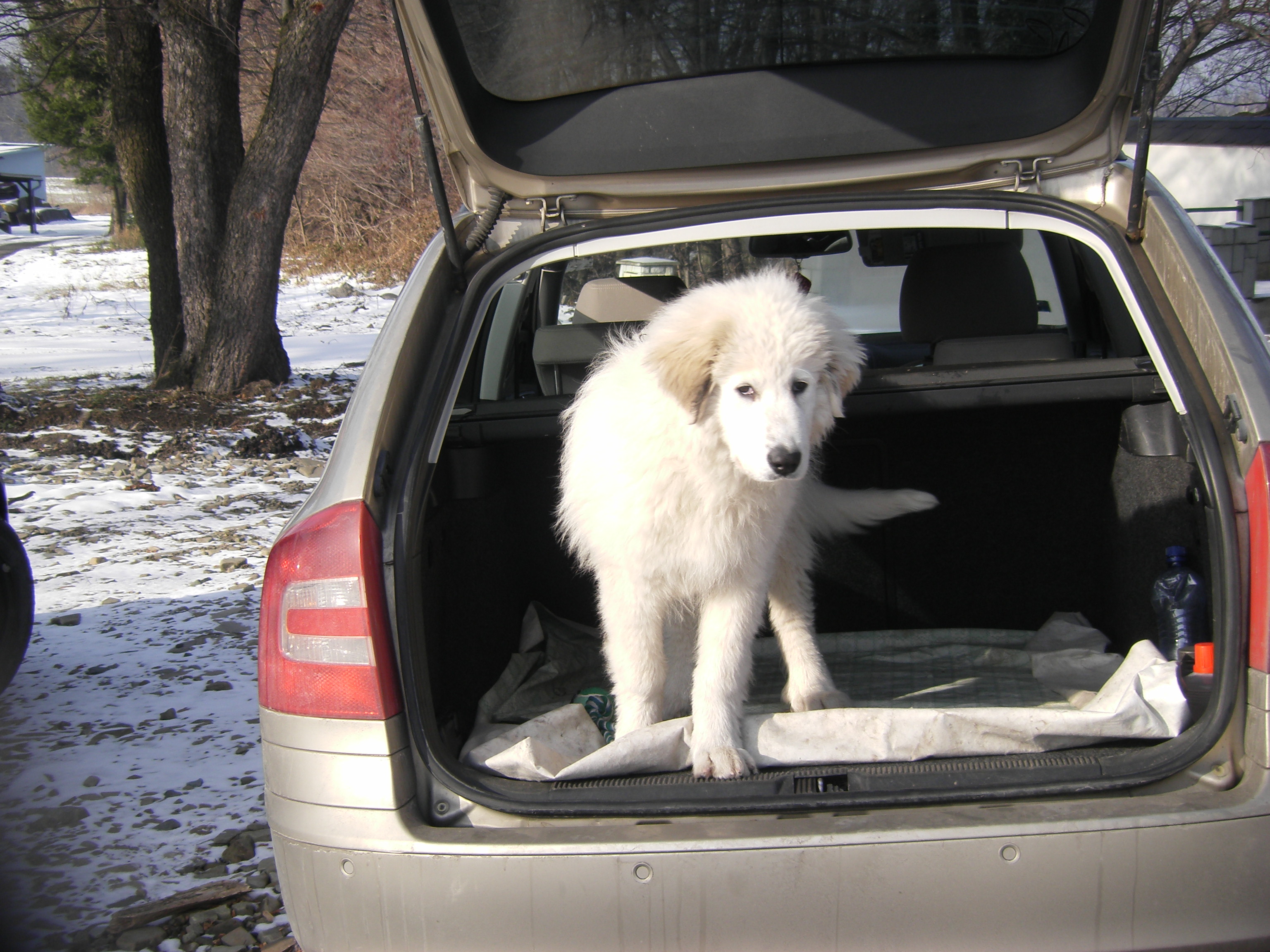 sobota 28.1.2012 27.1.-obrany 180