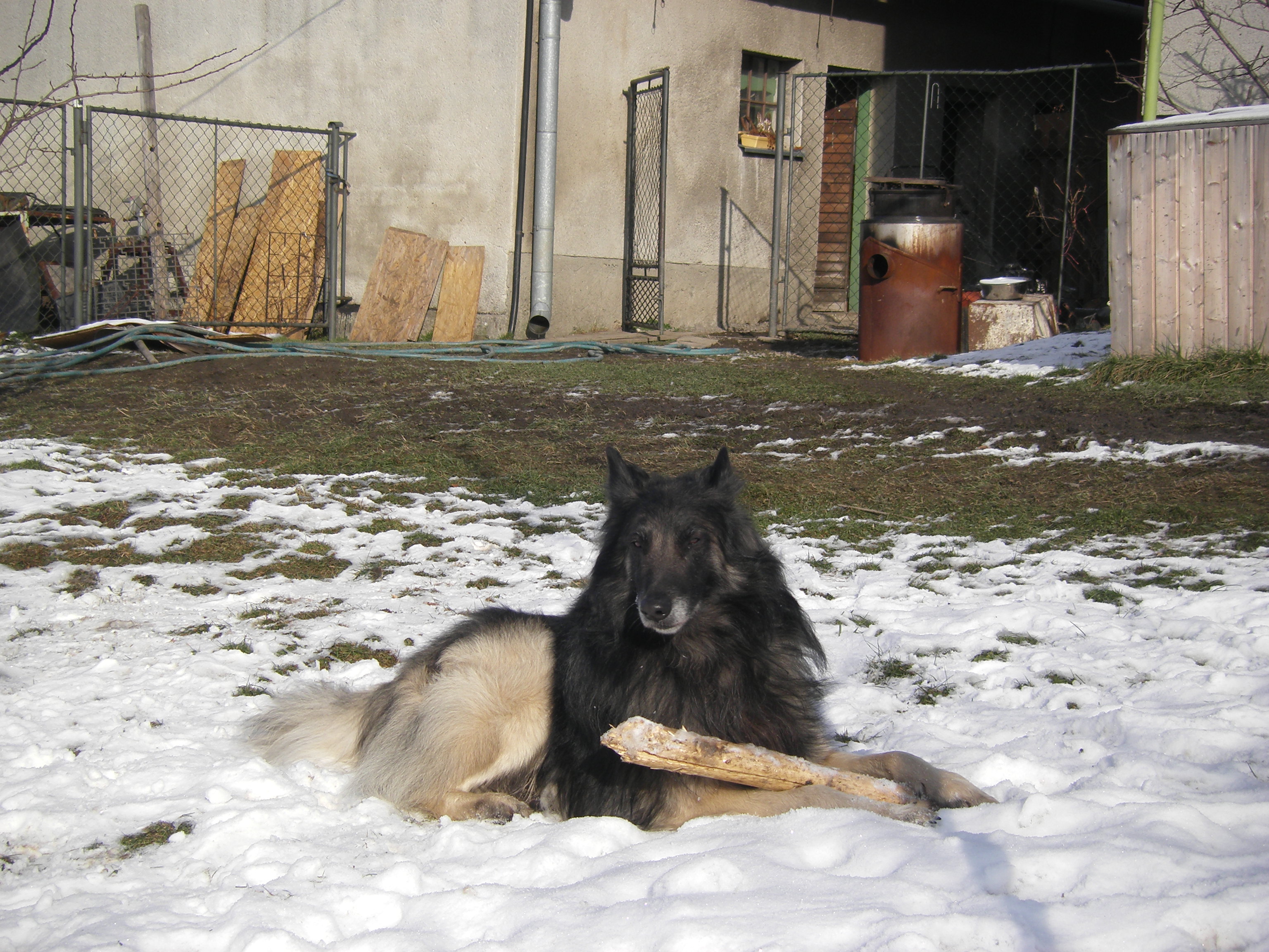 sobota 28.1.2012 27.1.-obrany 182