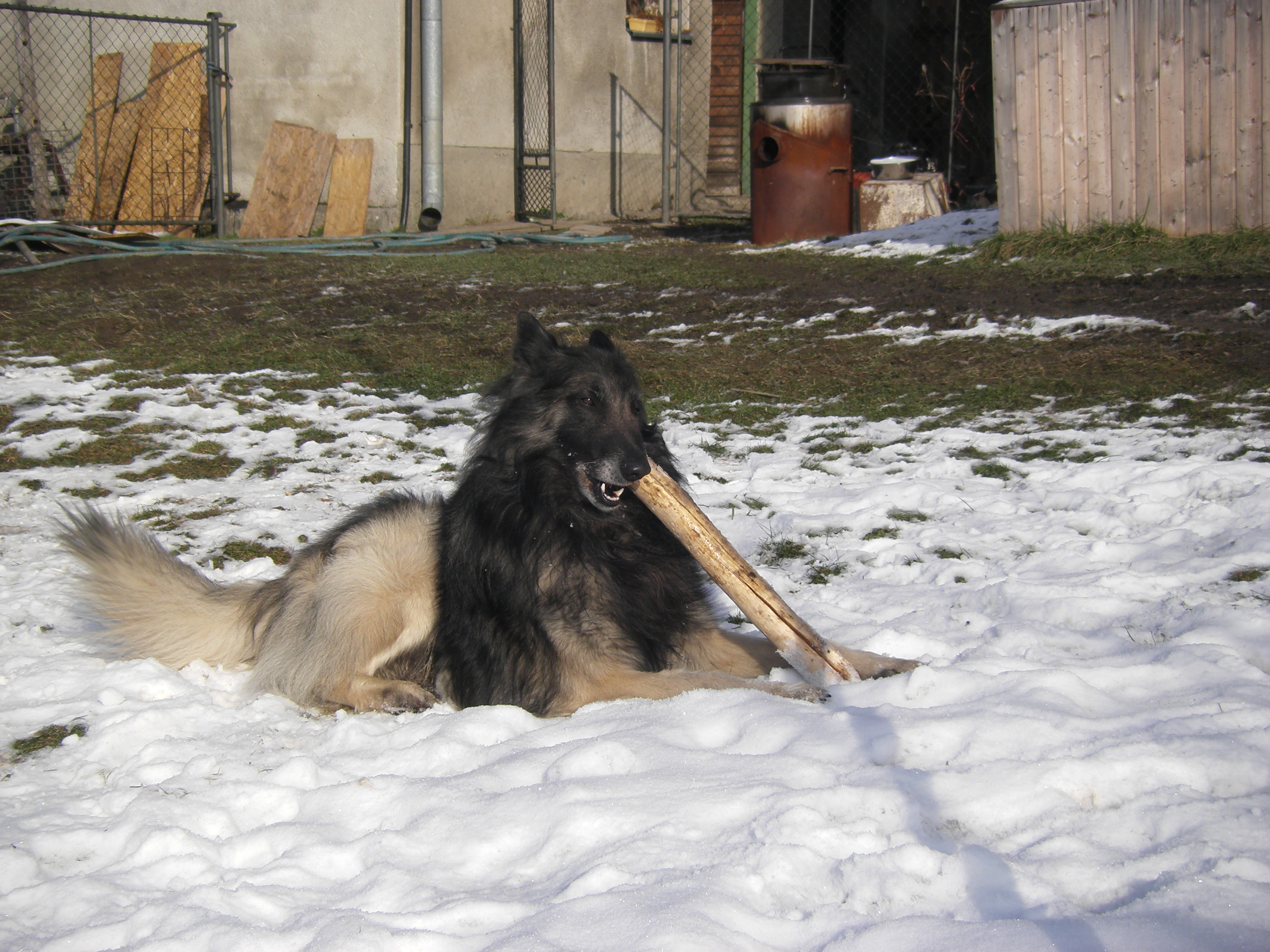 sobota 28.1.2012 27.1.-obrany 183