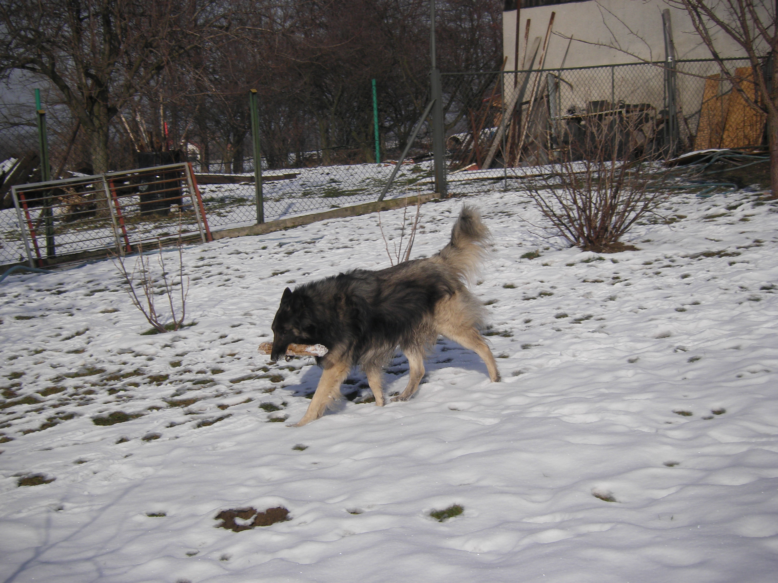 sobota 28.1.2012 27.1.-obrany 185