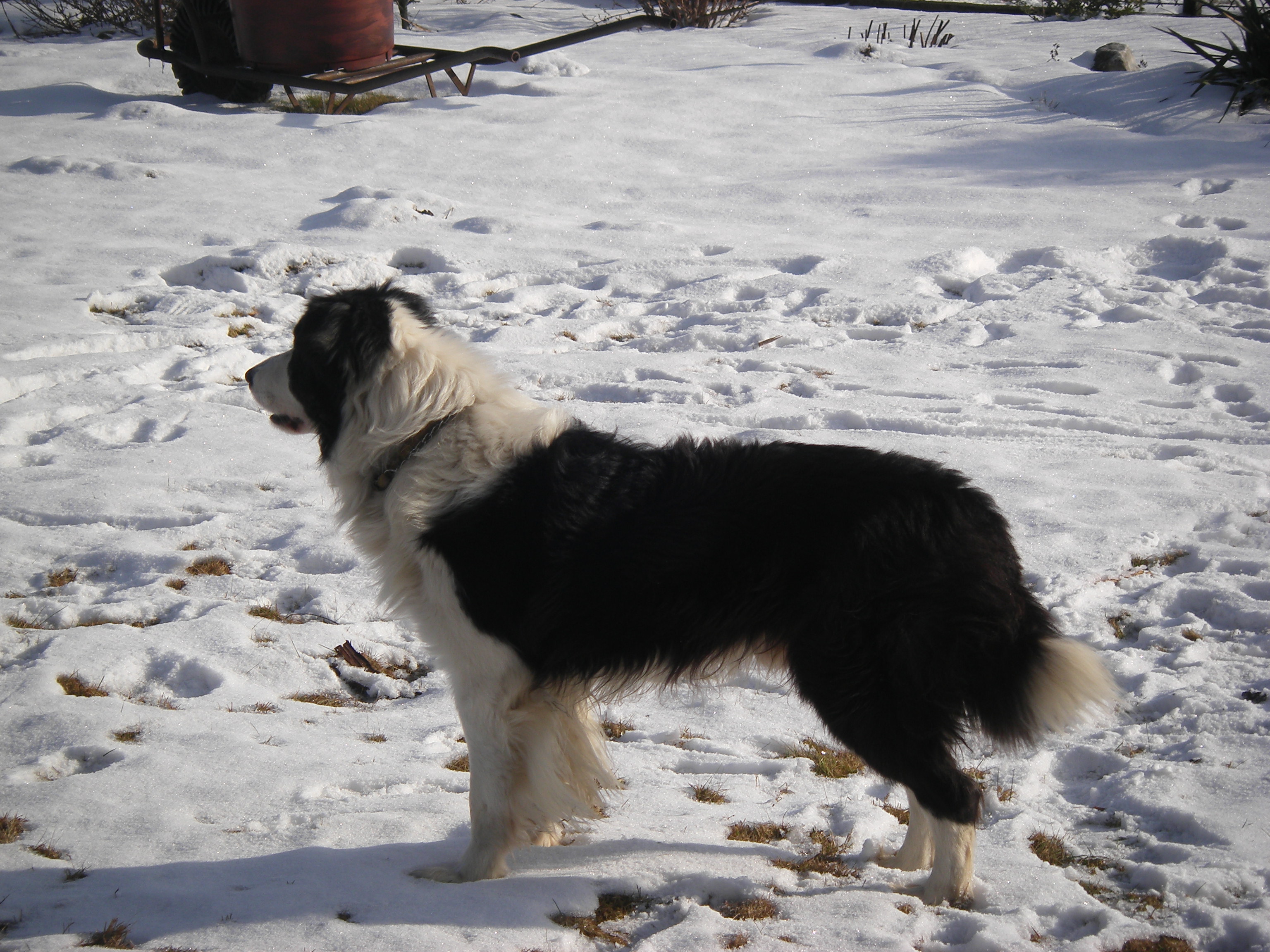 sobota 28.1.2012 27.1.-obrany 191