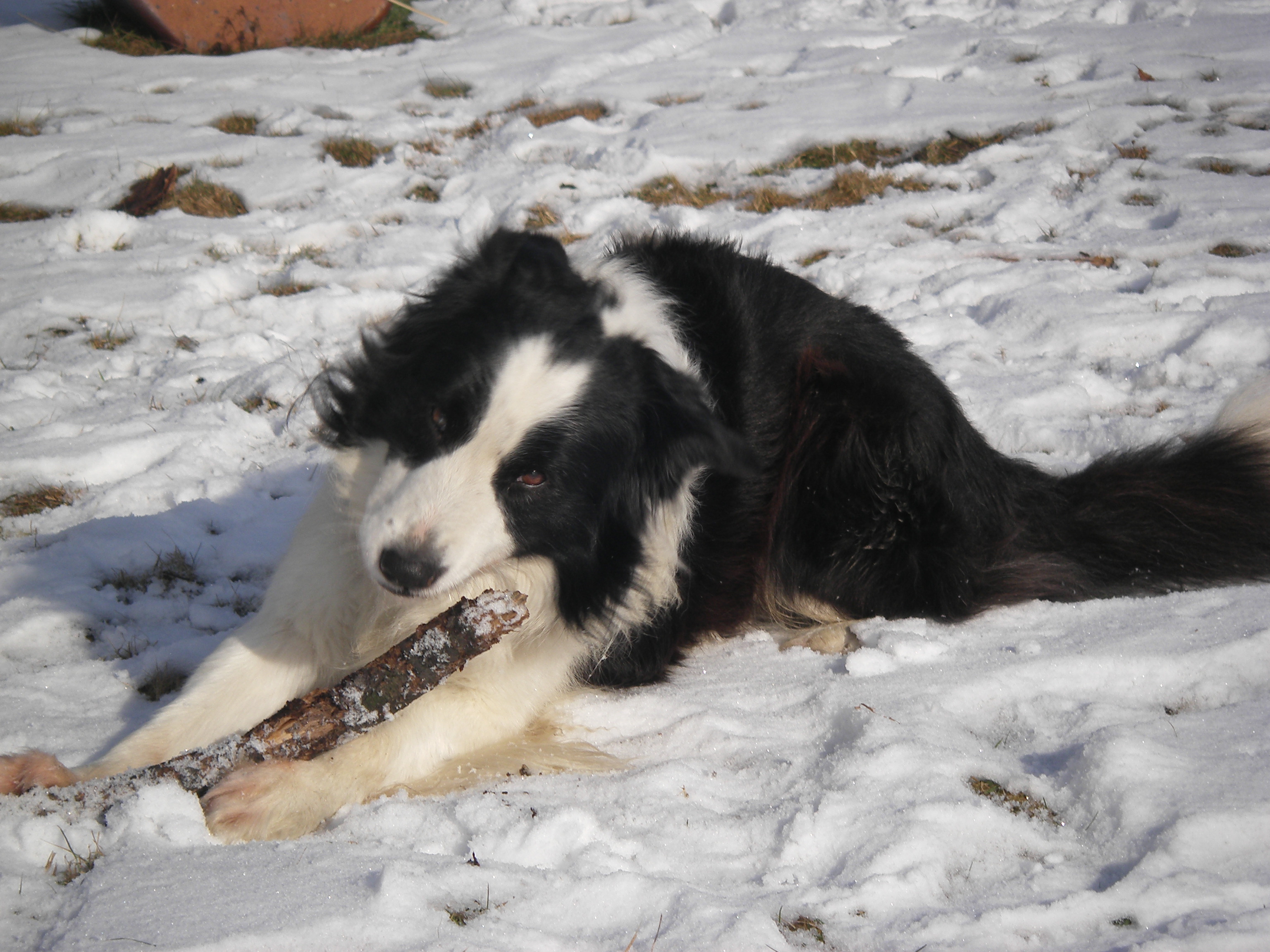 sobota 28.1.2012 27.1.-obrany 194